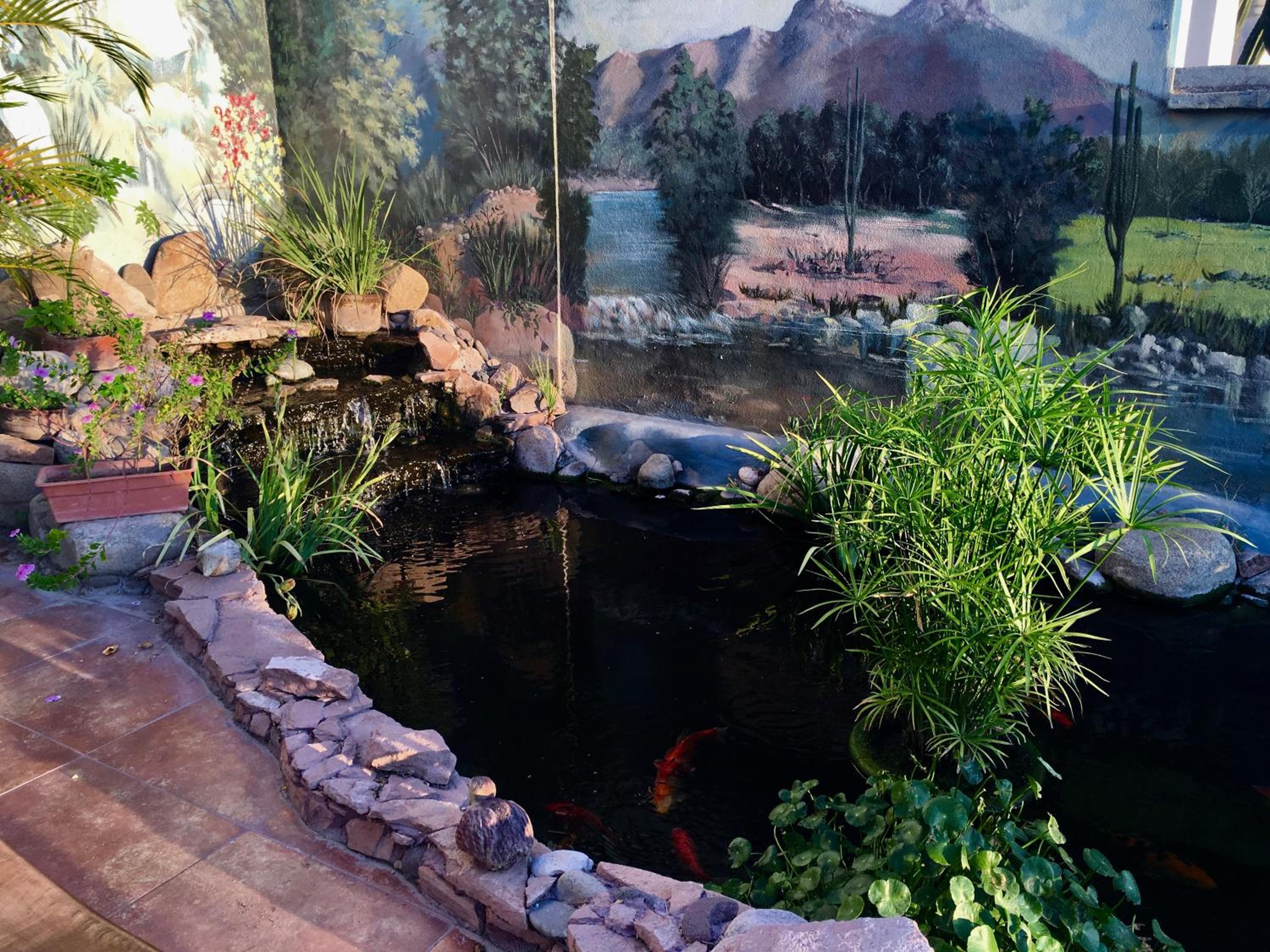 Serena Vista