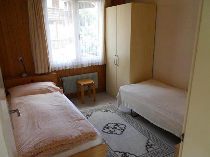 Chalet Anemone 2