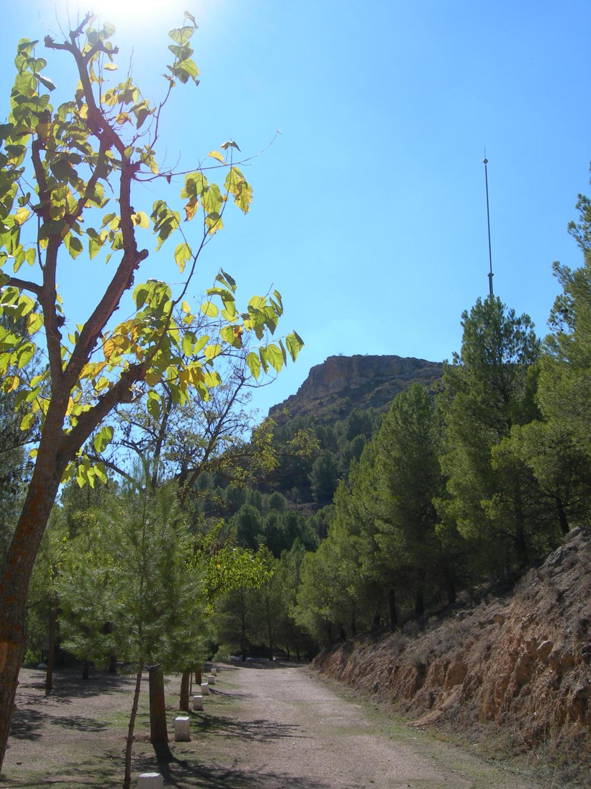 Photo 25