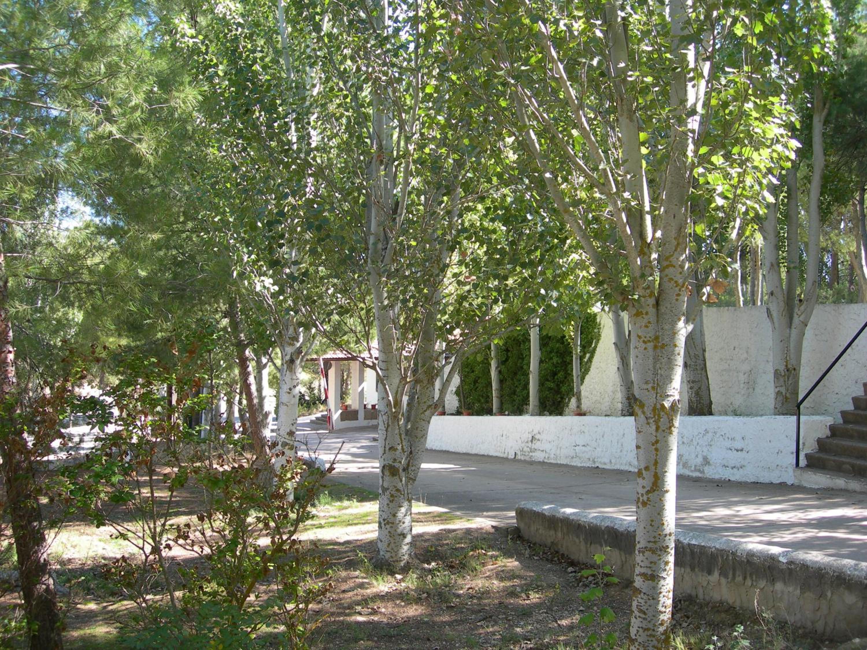 Photo 10