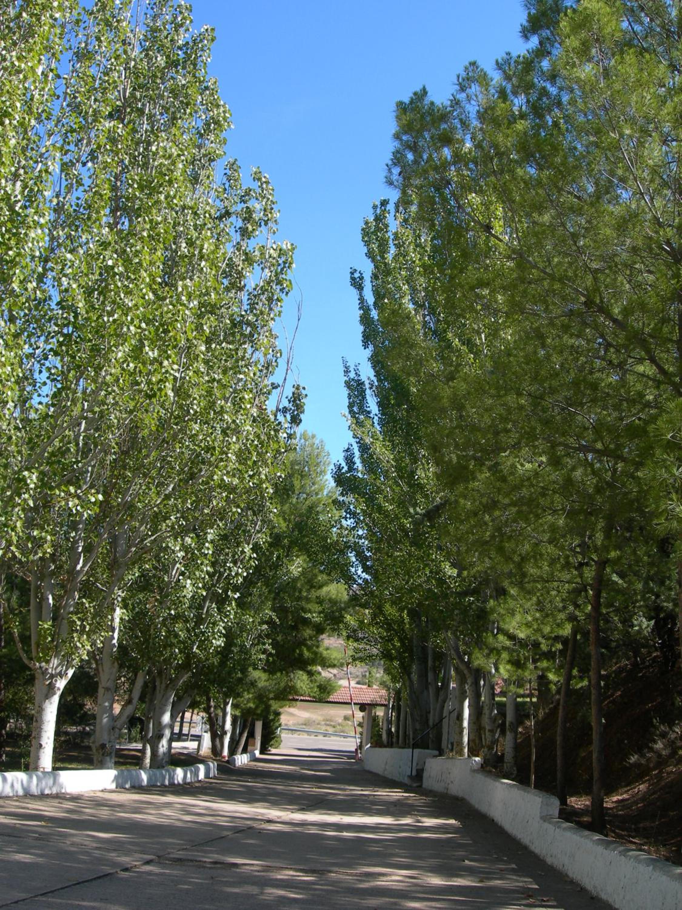 Photo 37