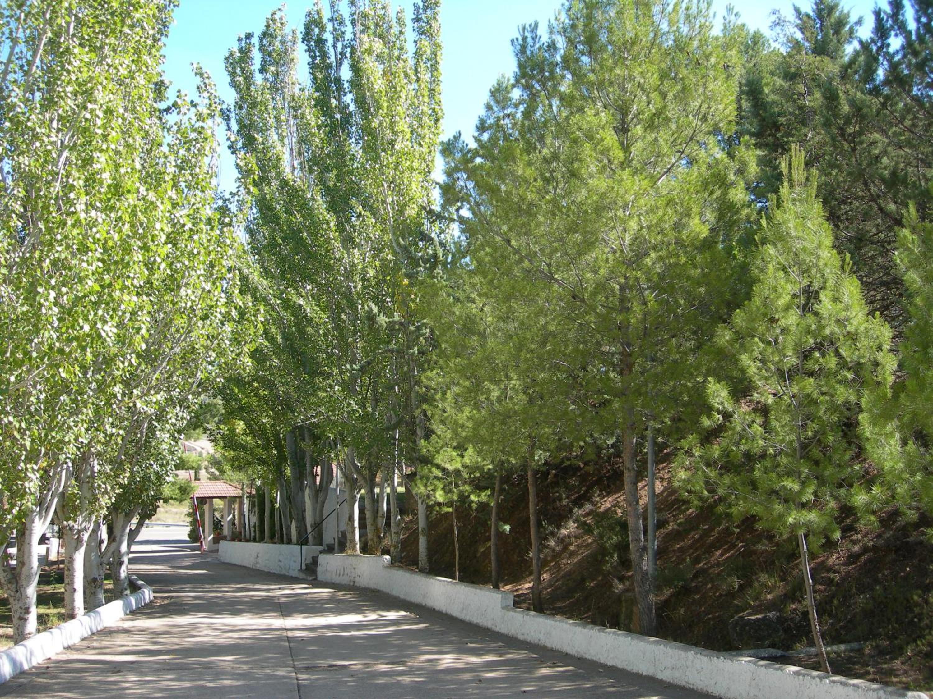 Photo 31