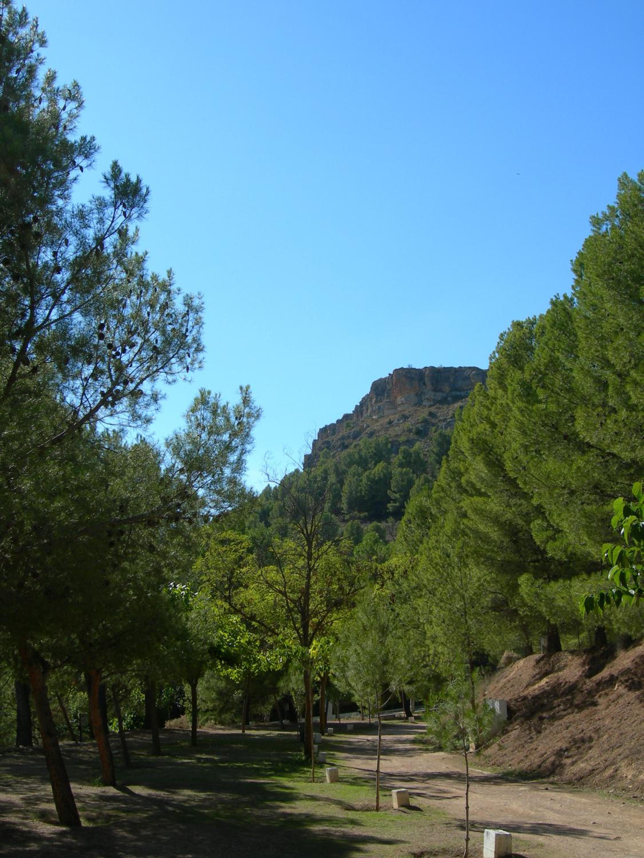 Photo 29