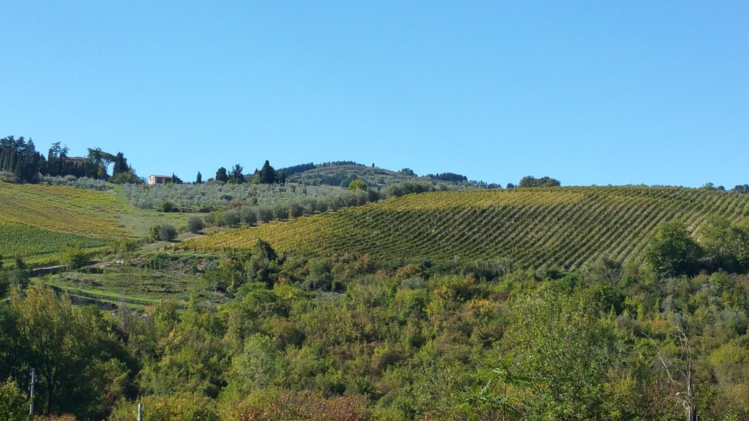Colonica Montebeni