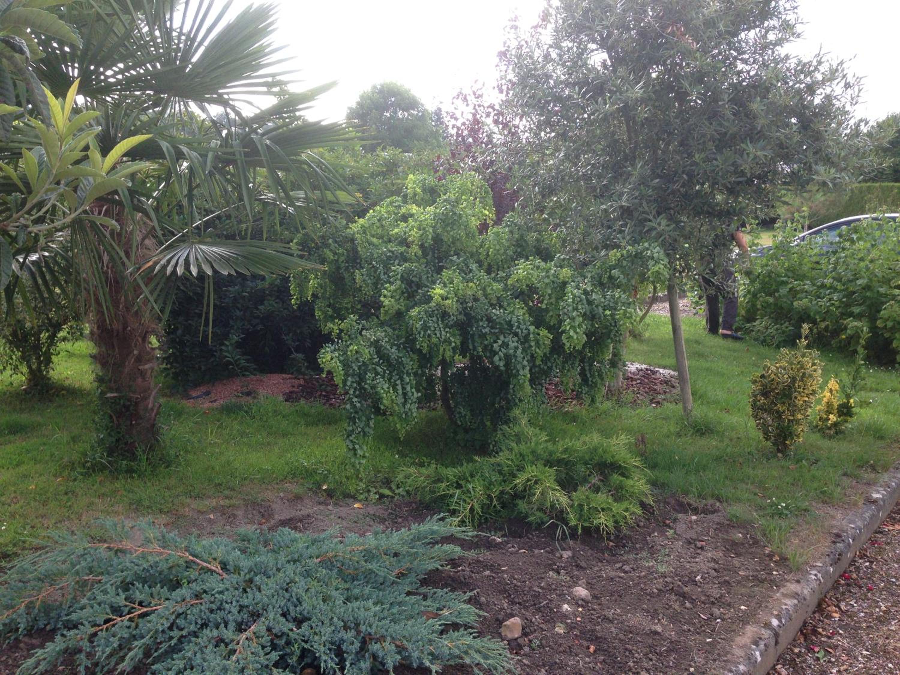Photo 26