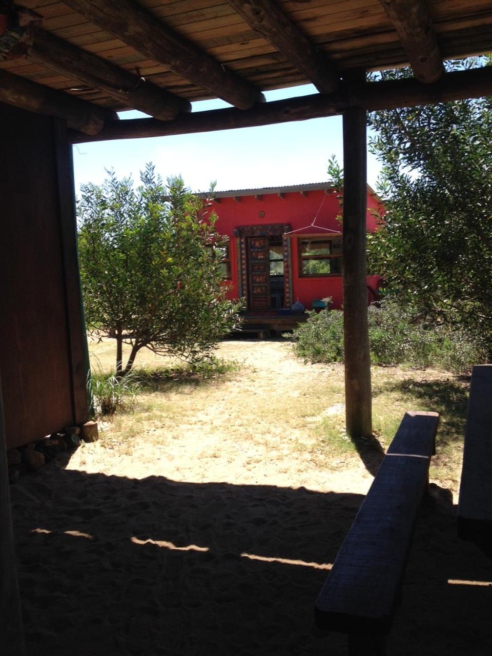 Photo 7