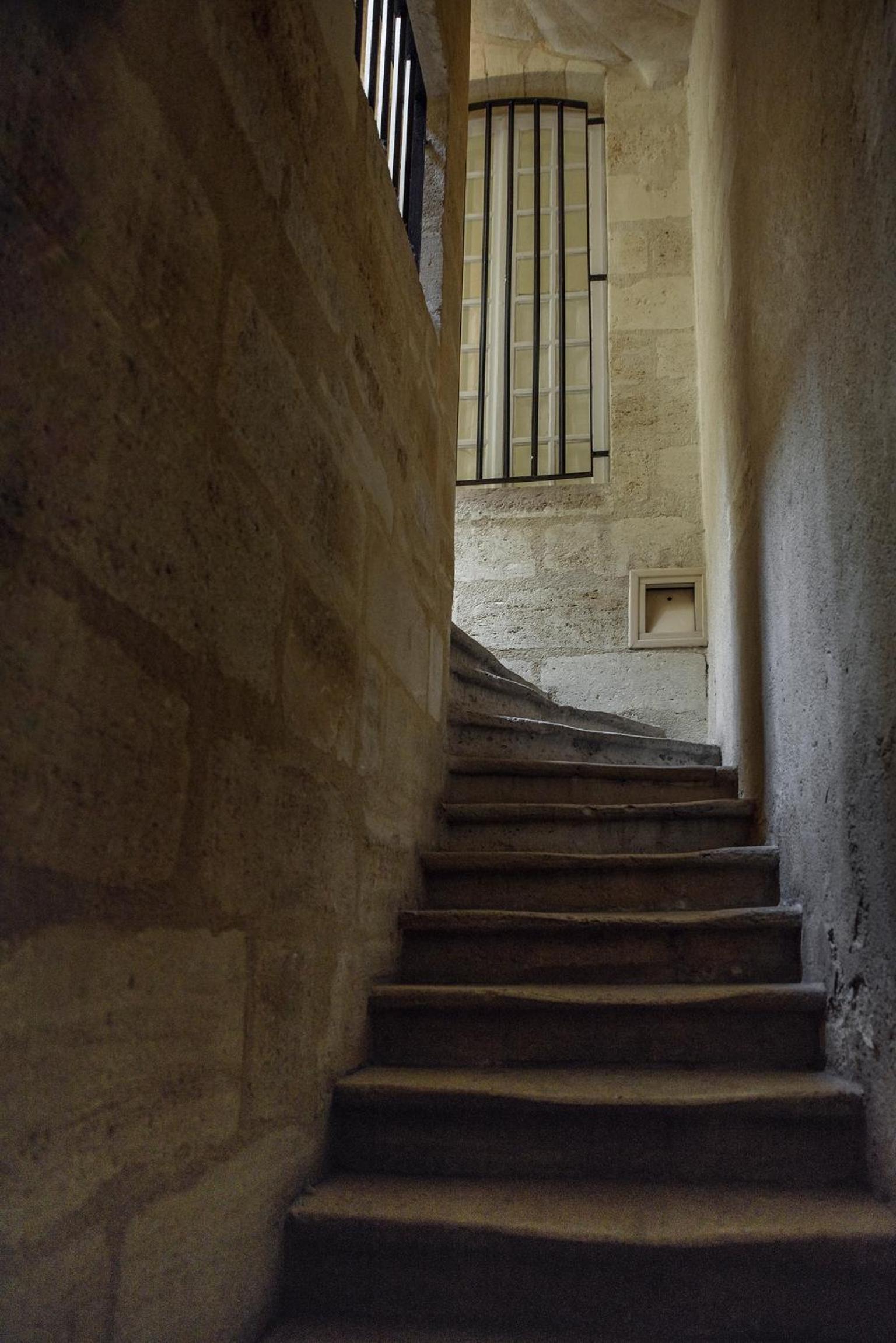 Photo 7
