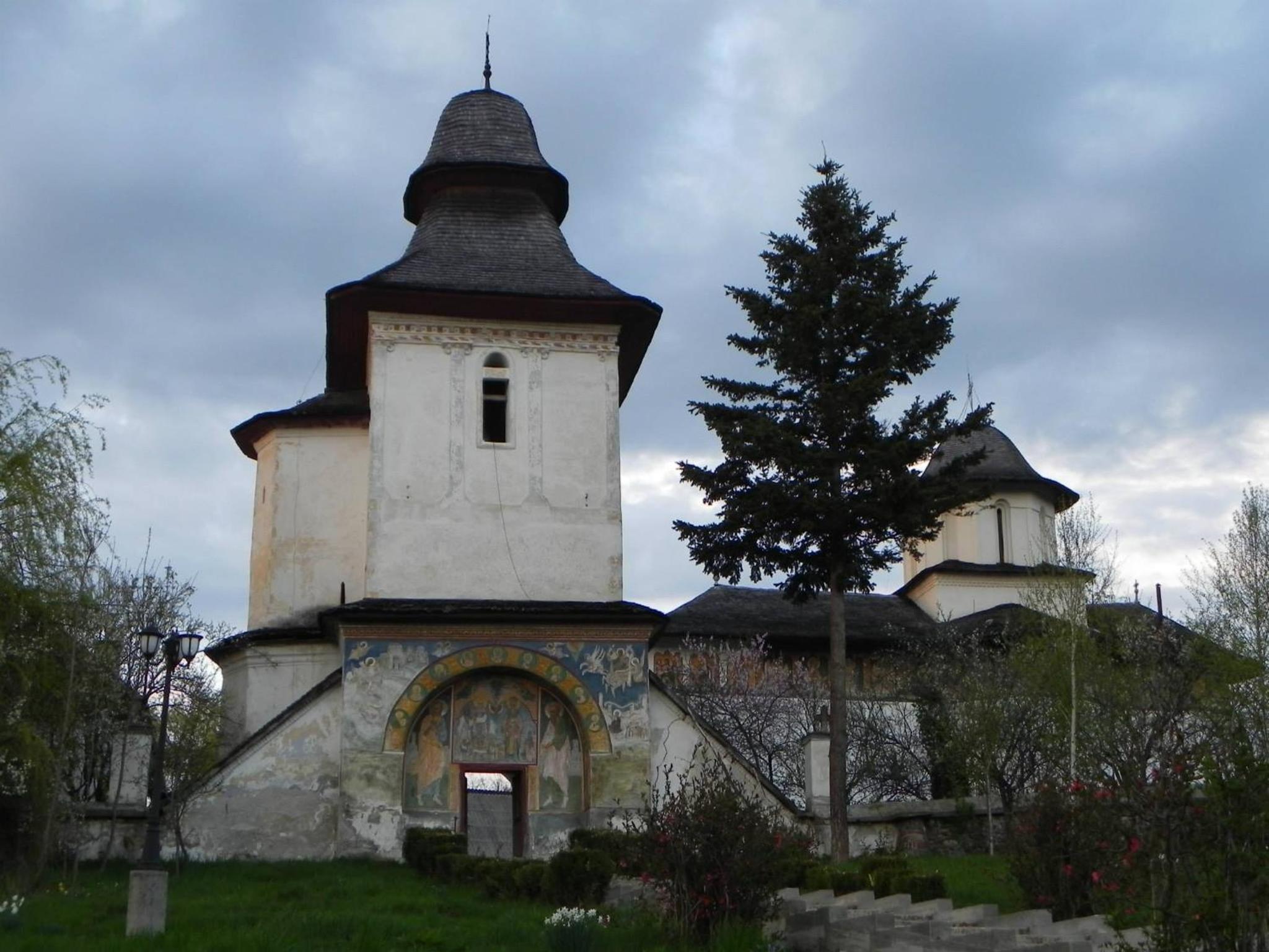 Photo 8