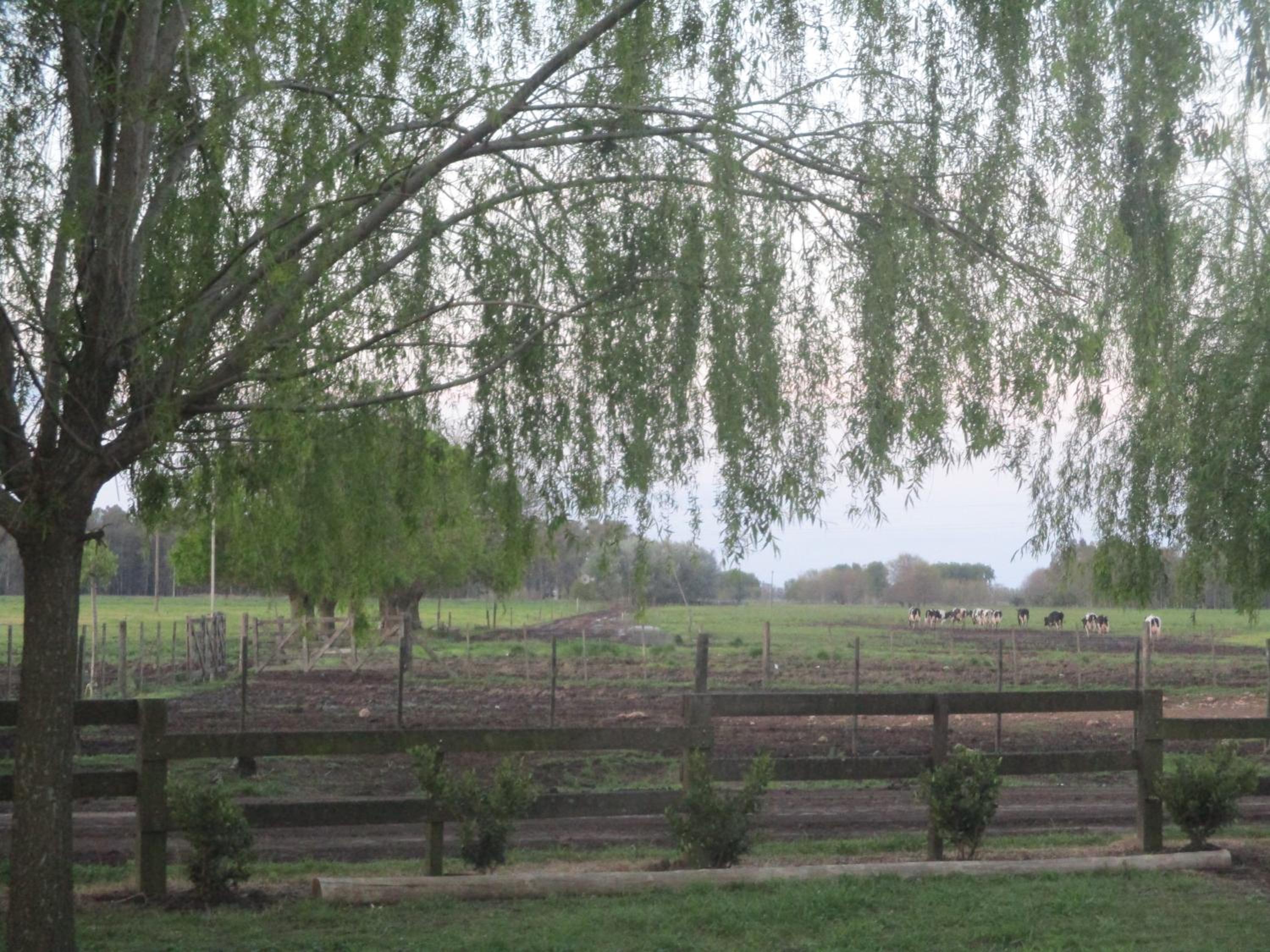 Casa Mansa Puro Campo