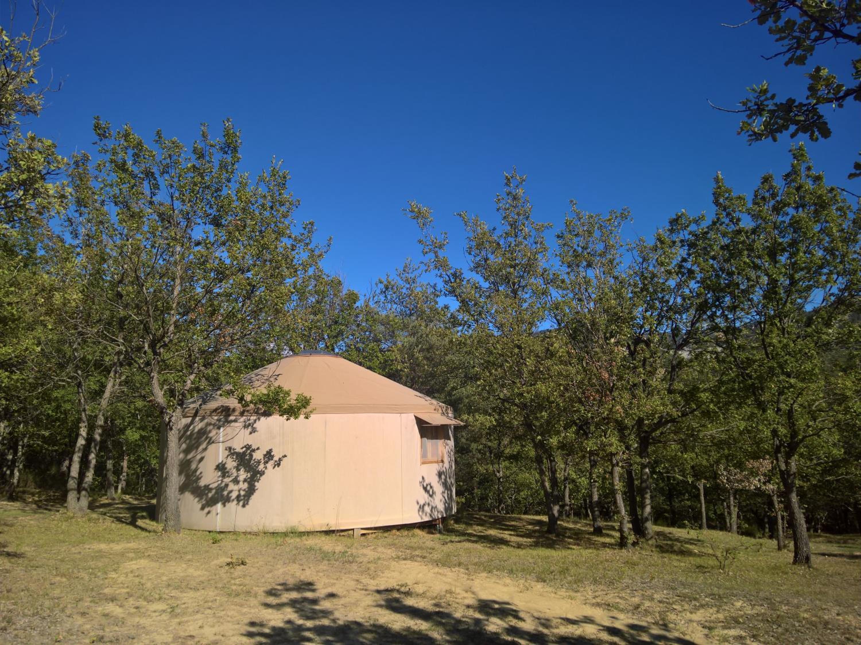 Photo 20