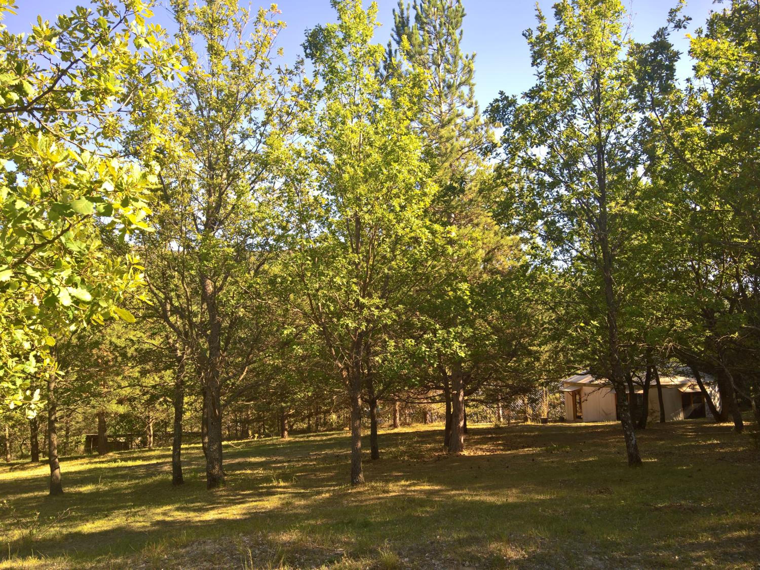 Photo 21