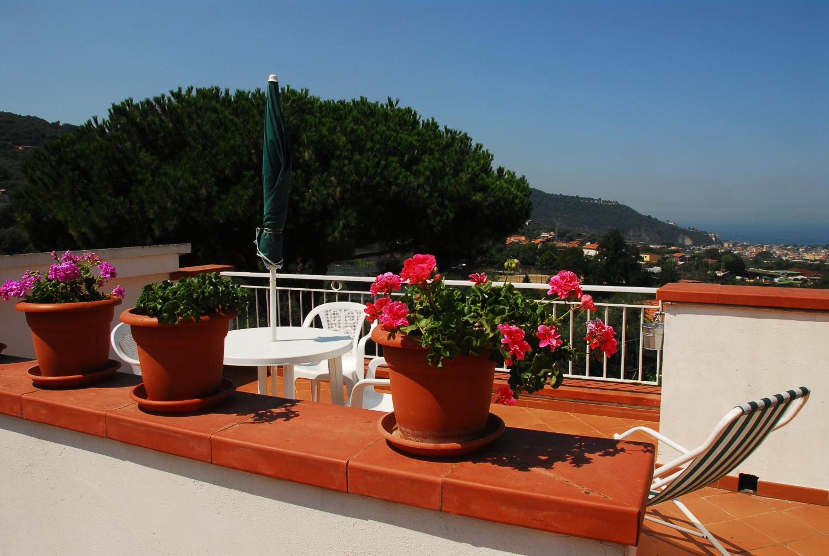 Azienda Agricola Veniero view 3