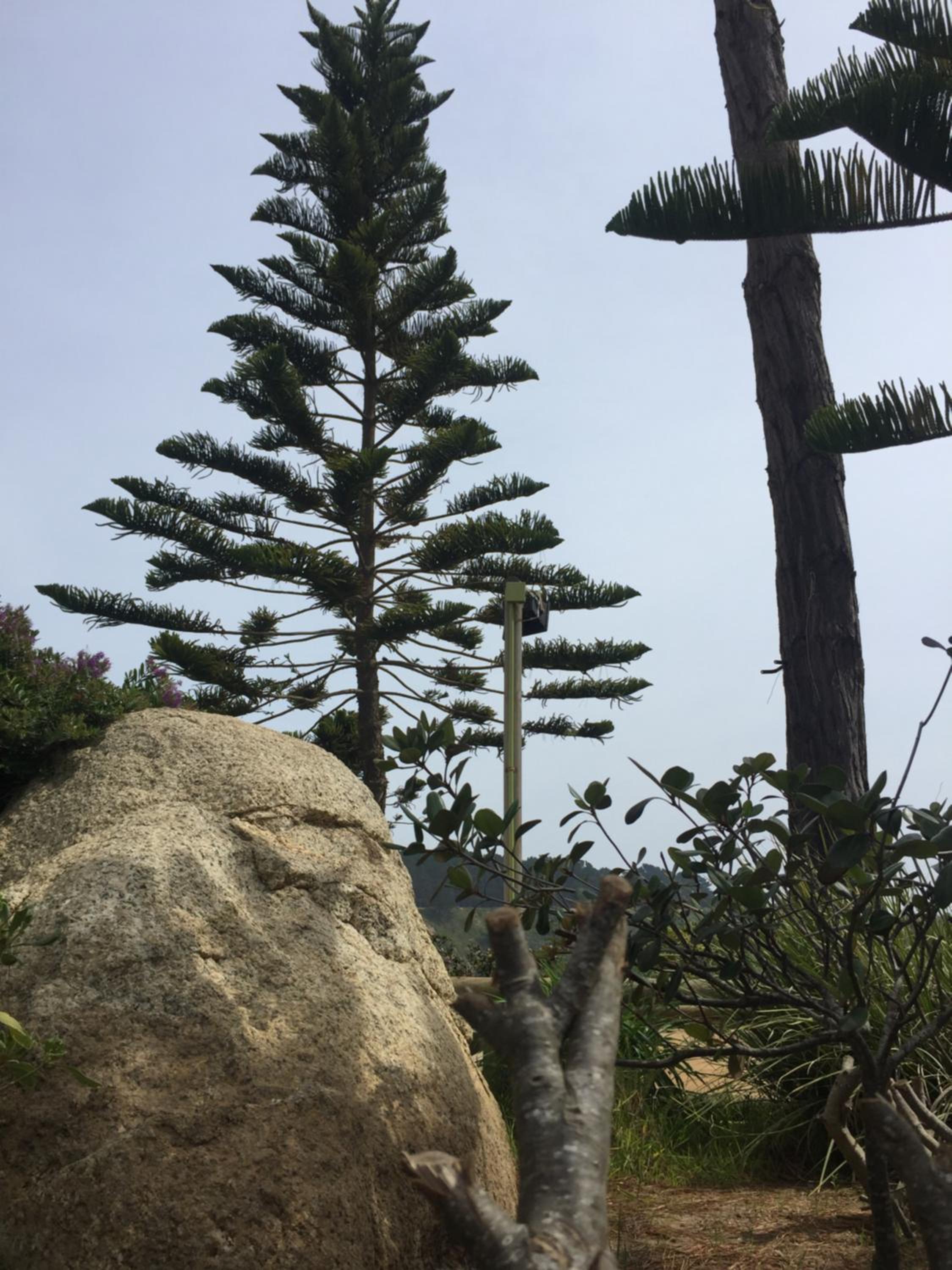 Departamento en la Playa