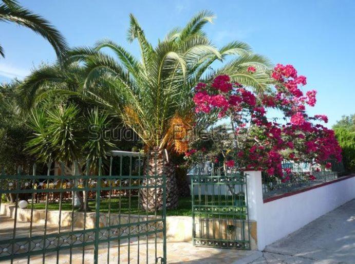 Erietta Studios