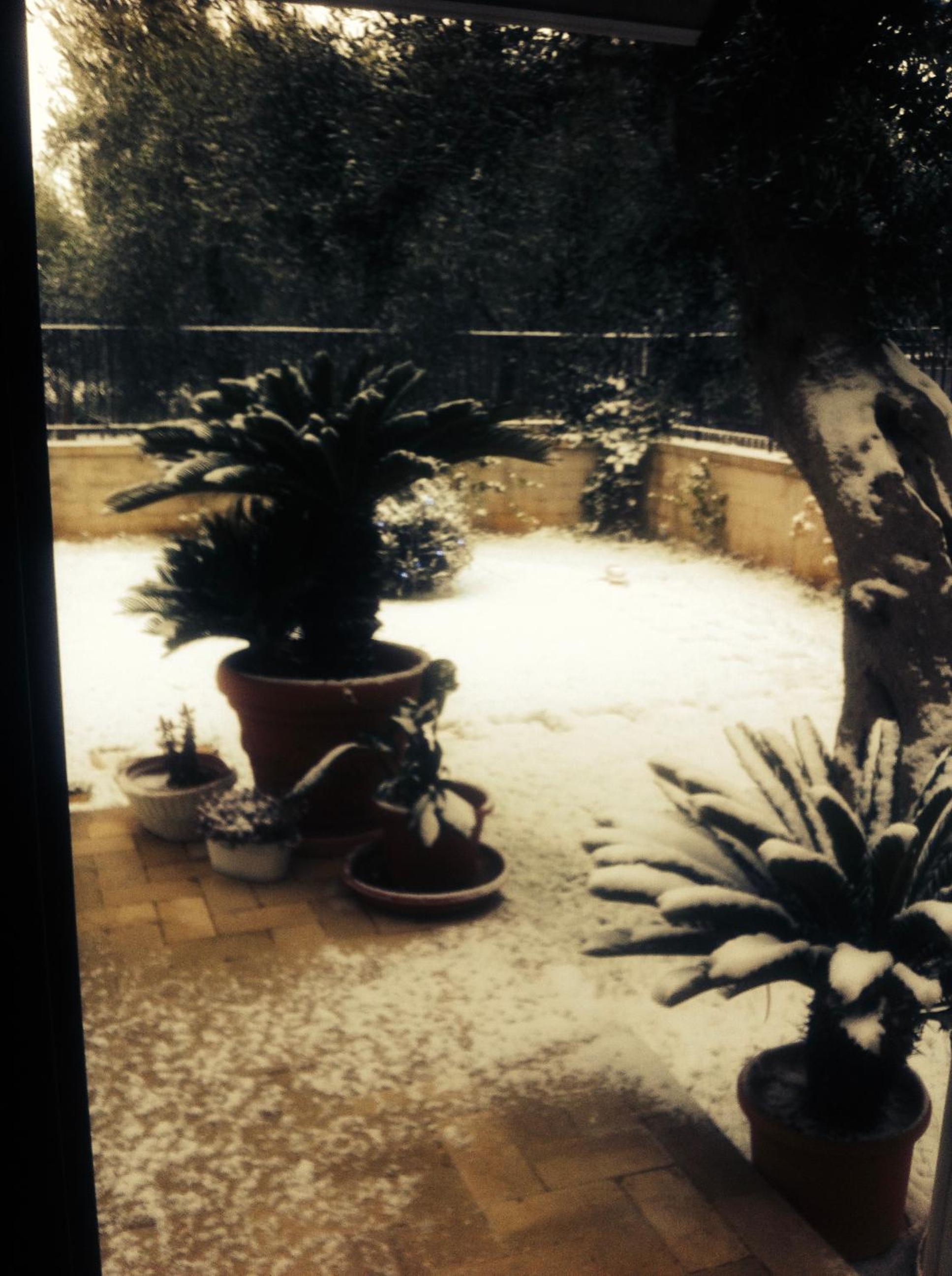 Les Fleurs b&b