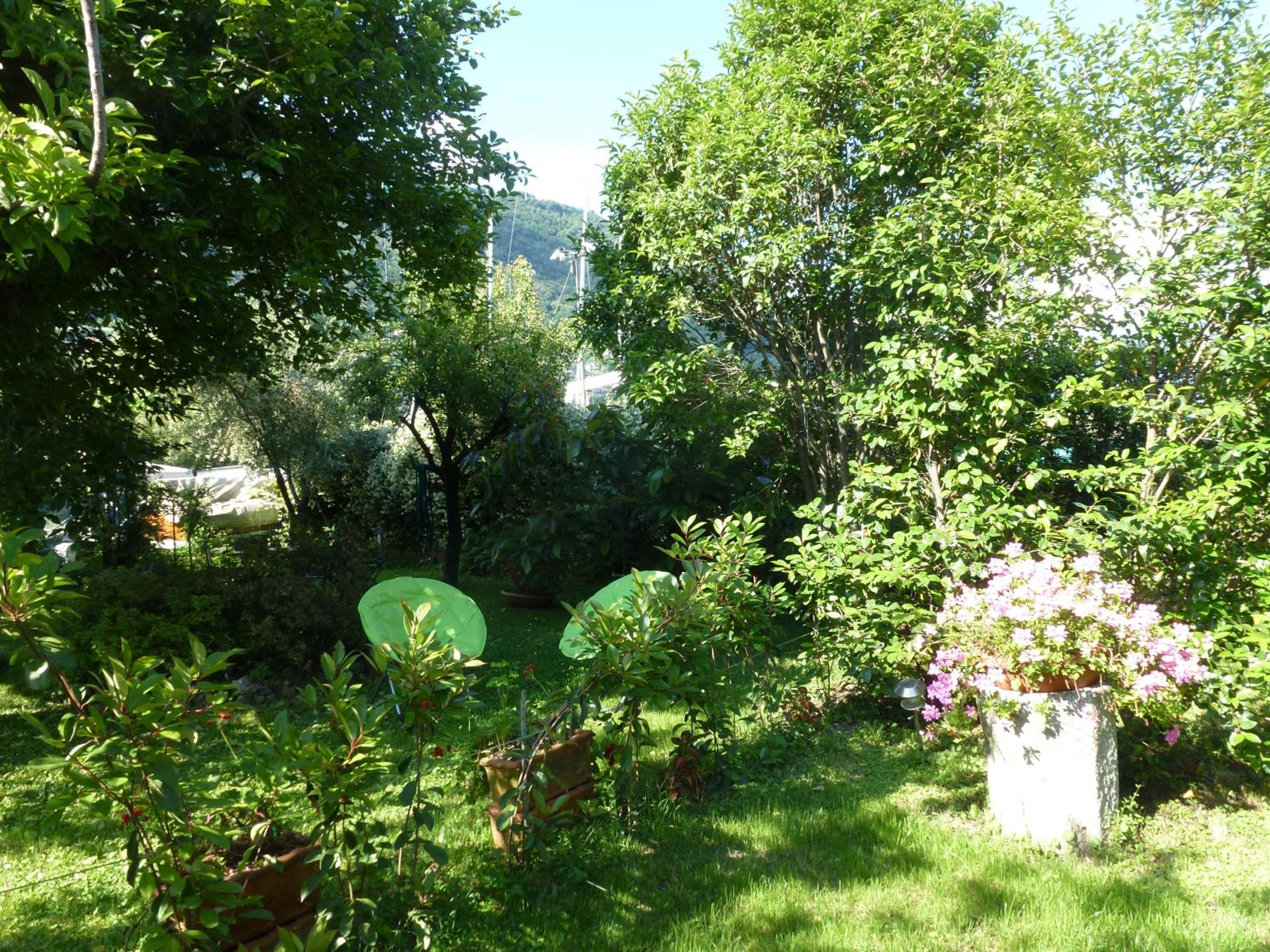 Photo 31