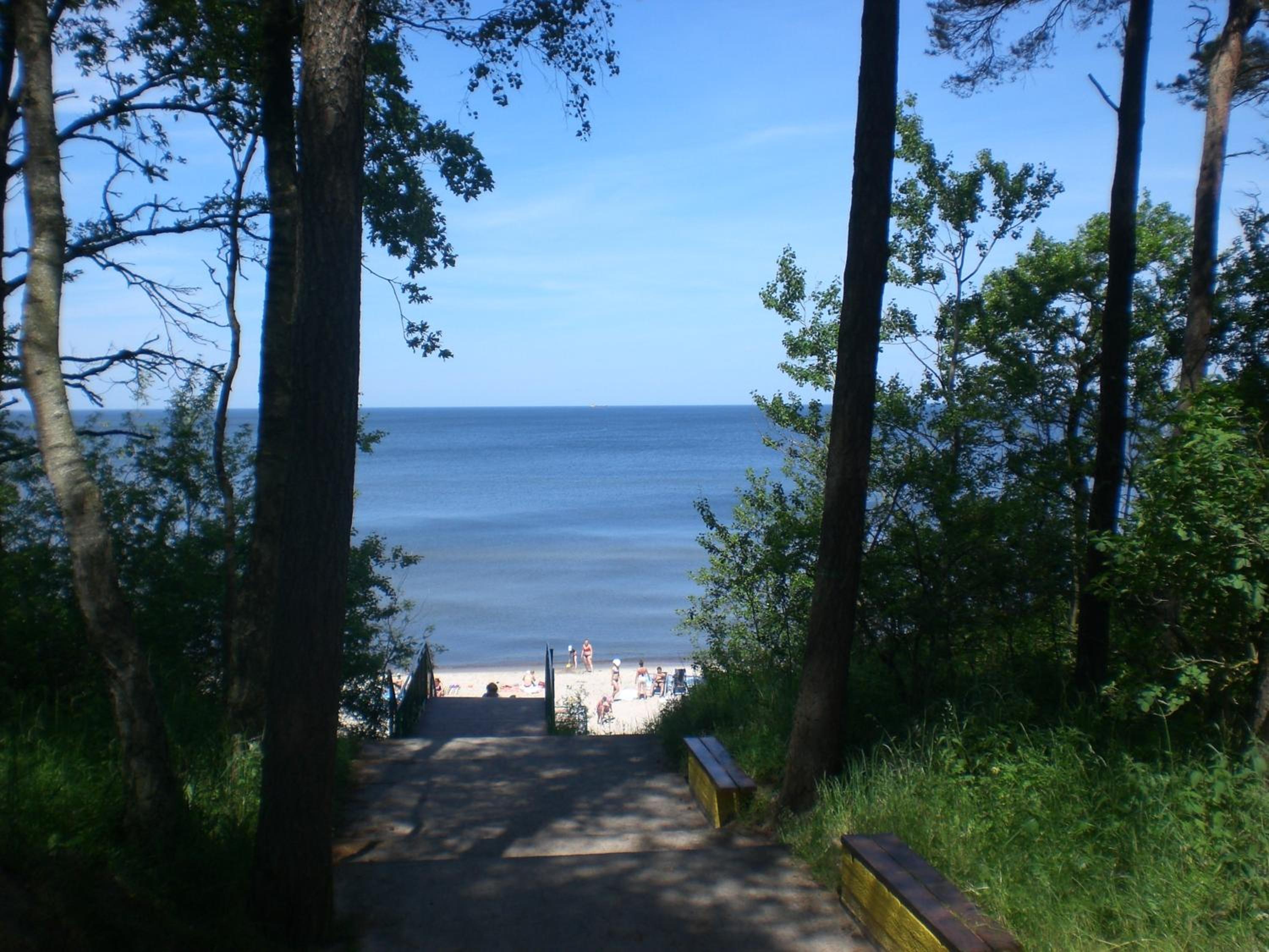 Photo 38