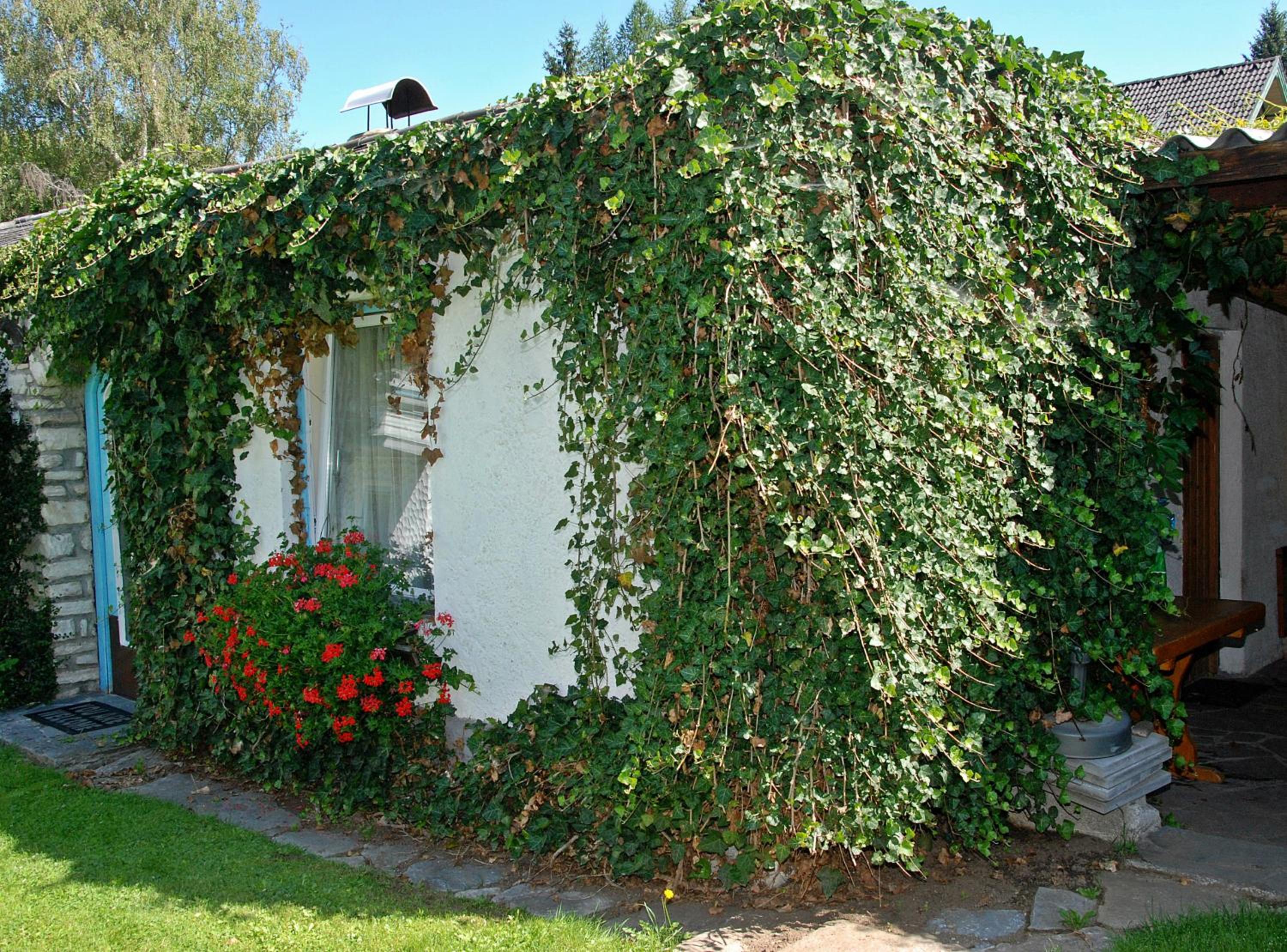Pension Weber