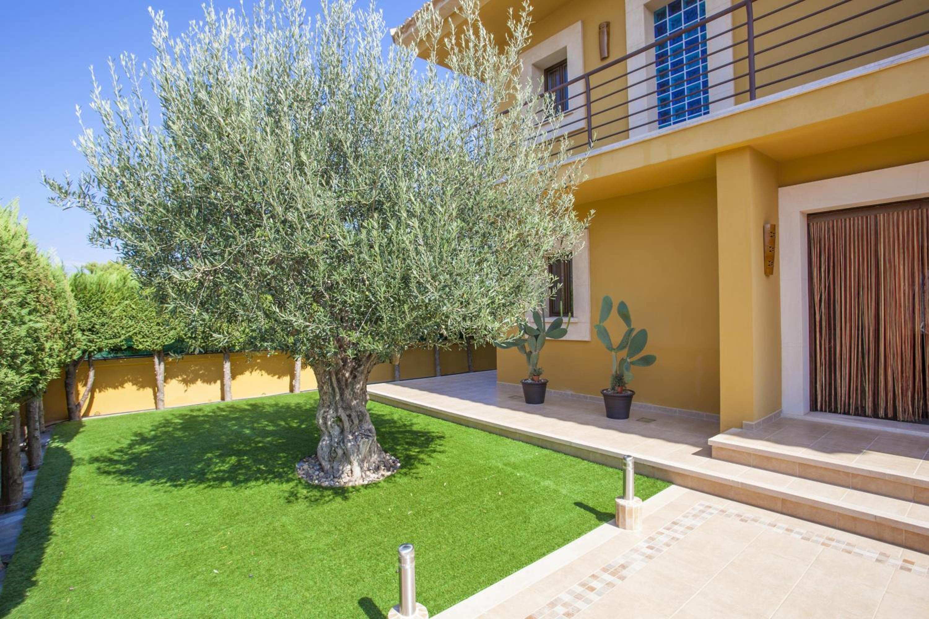 Finca Ca Nantonia