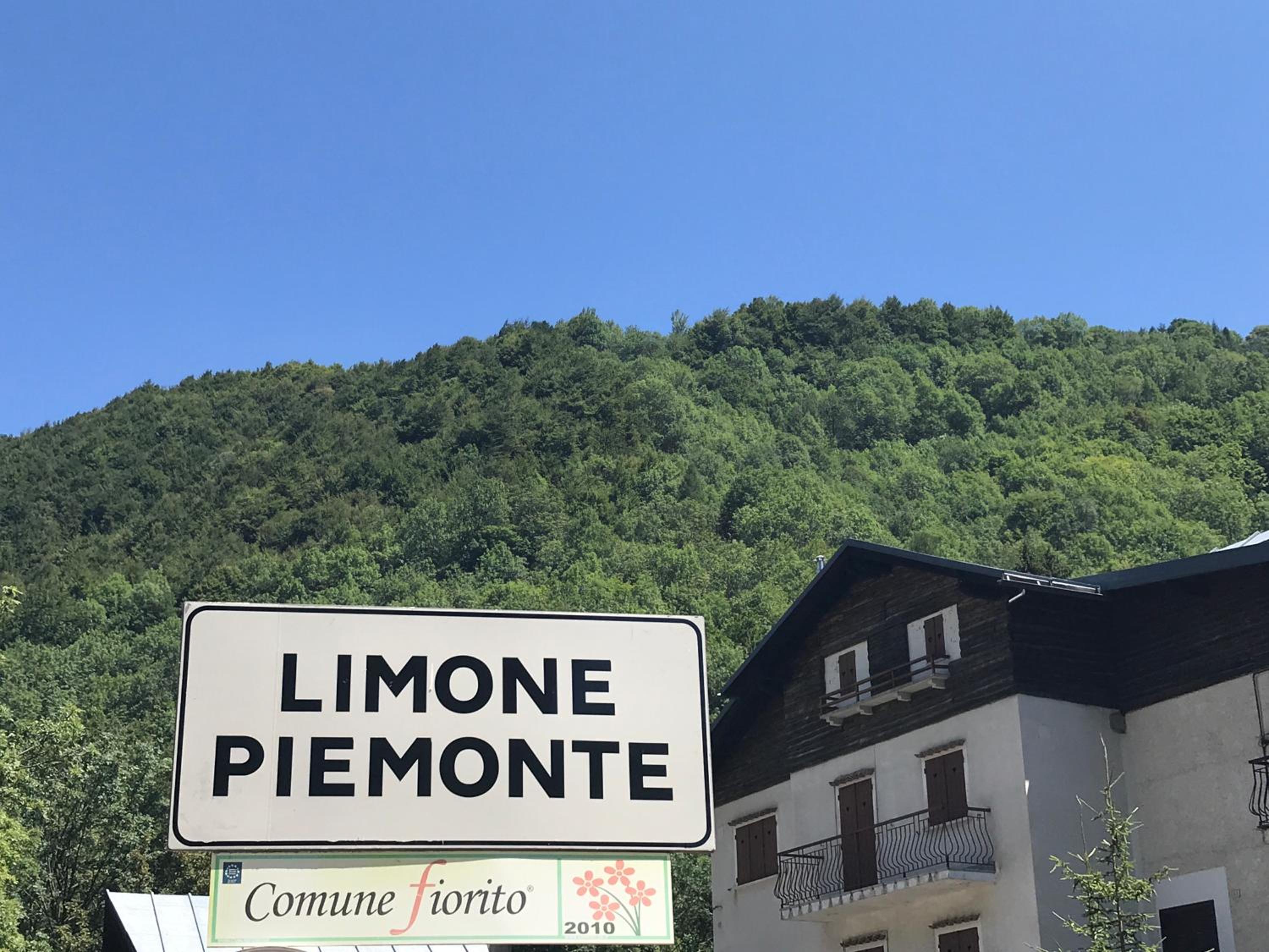 Little Limone photo 4