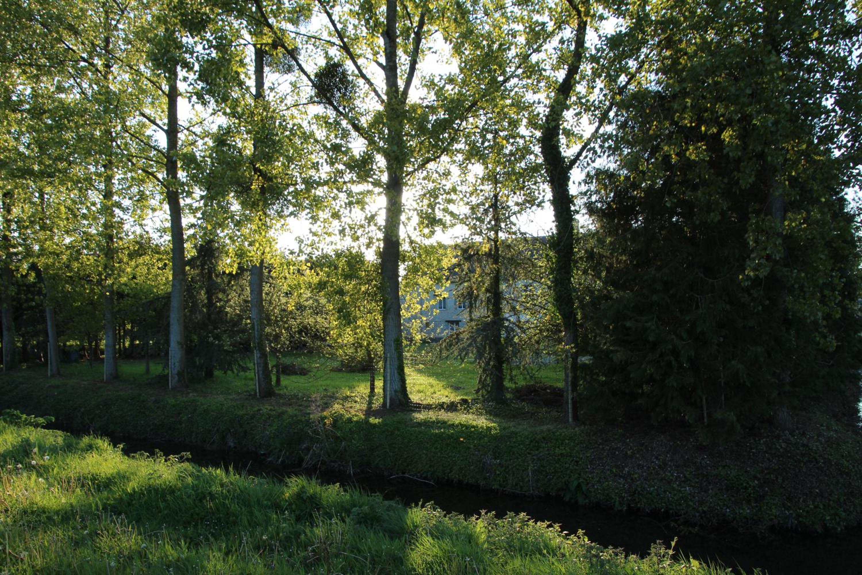 Photo 22