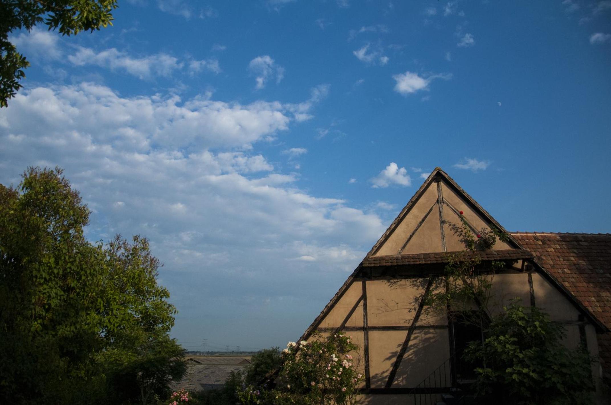Unter der Linde