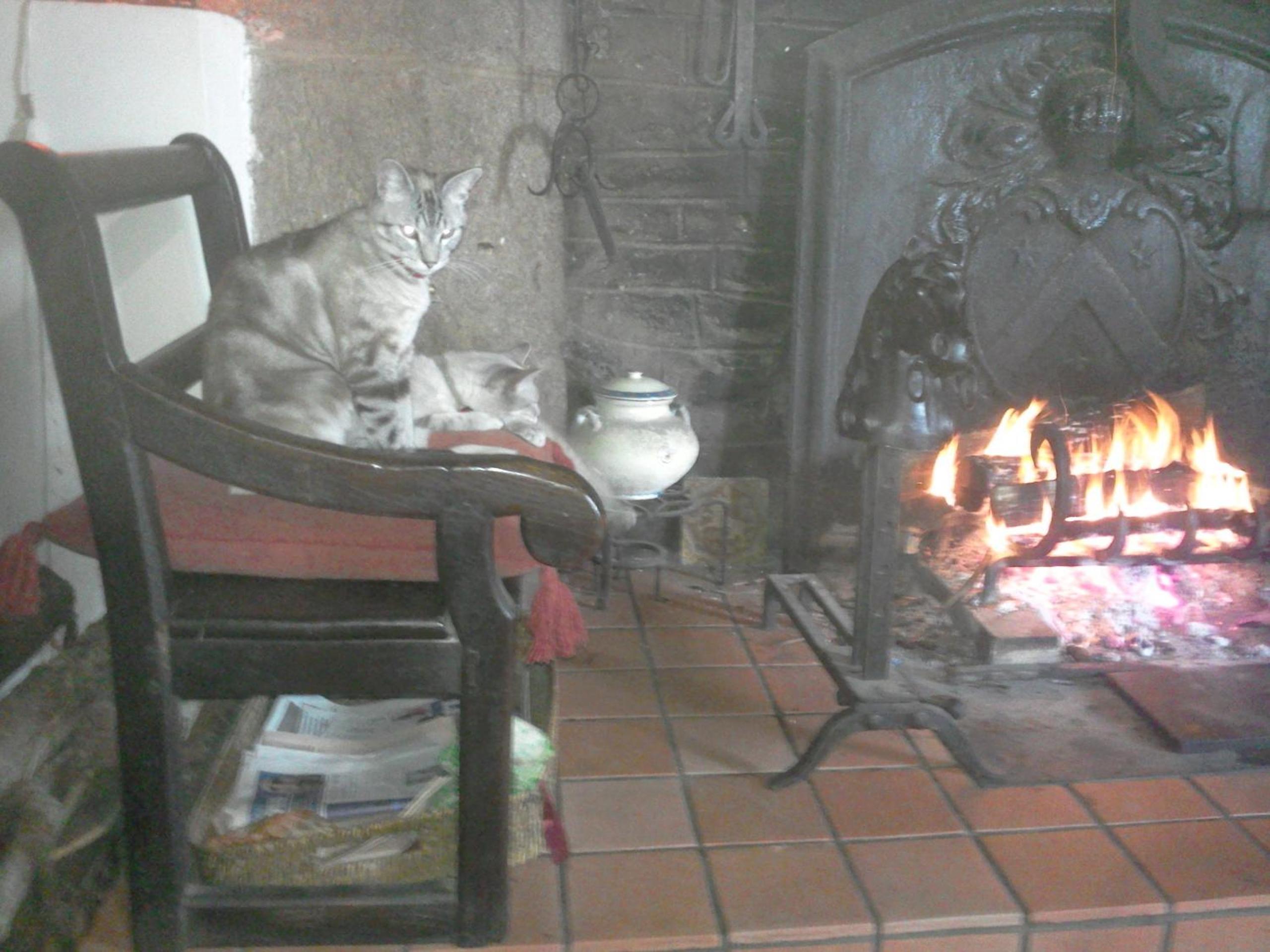 Photo 30