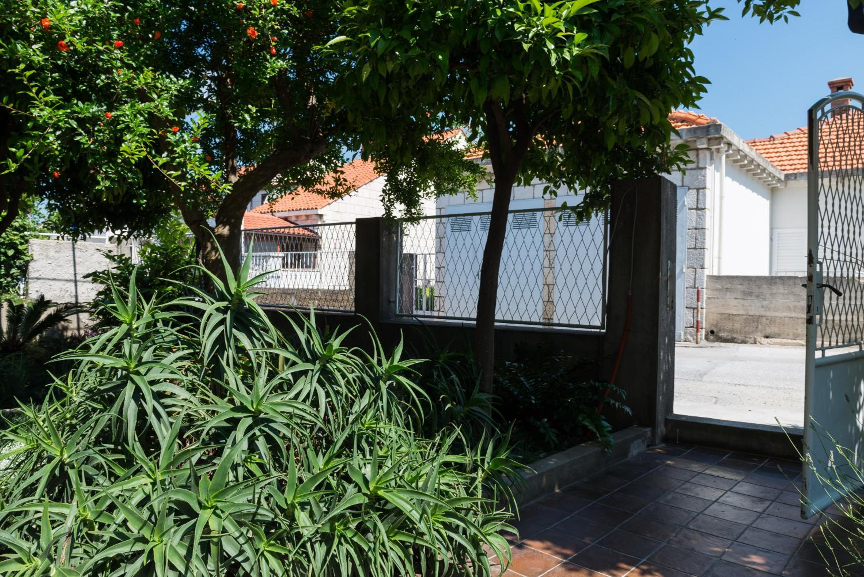 Apartment Veve