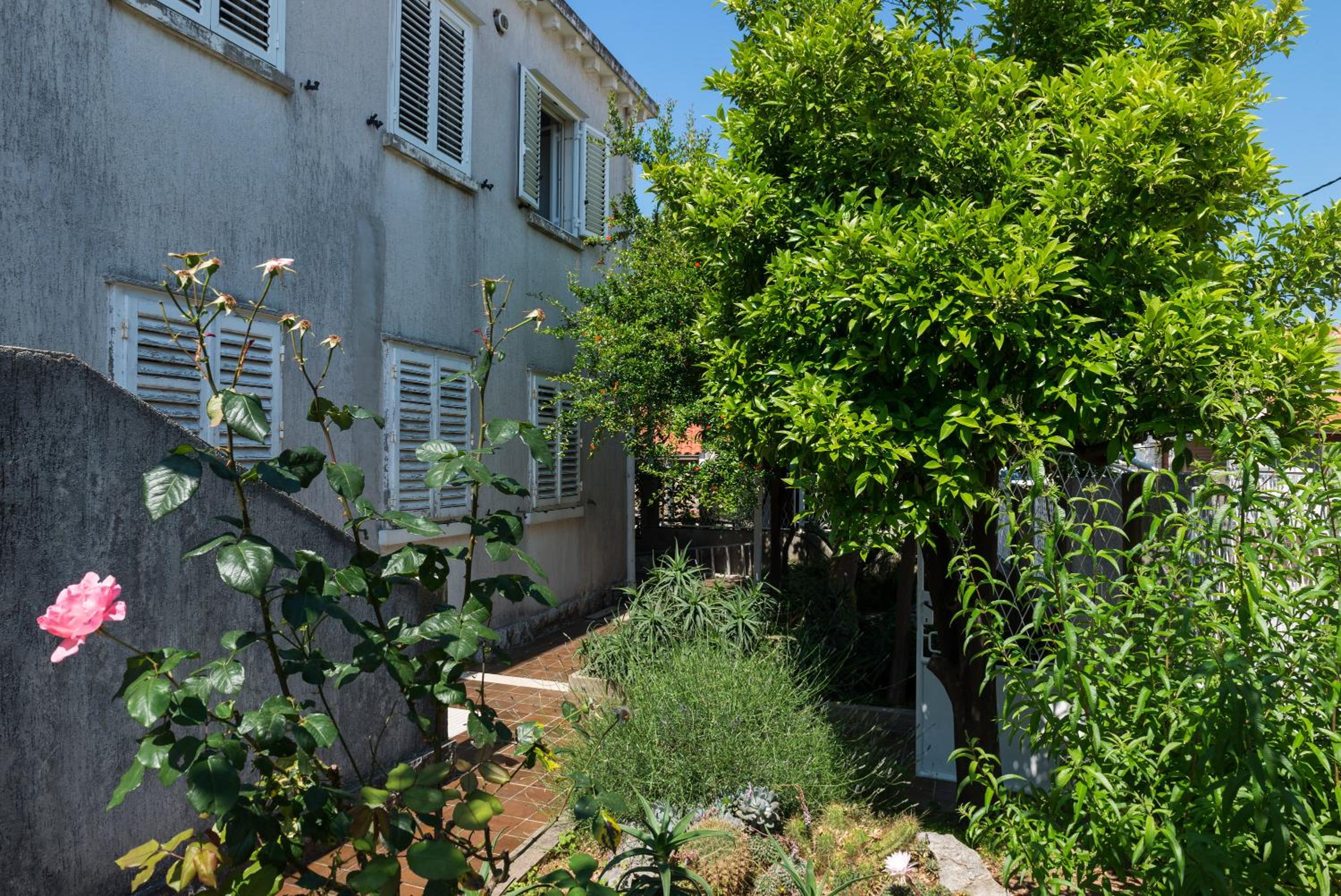 Apartment Veve