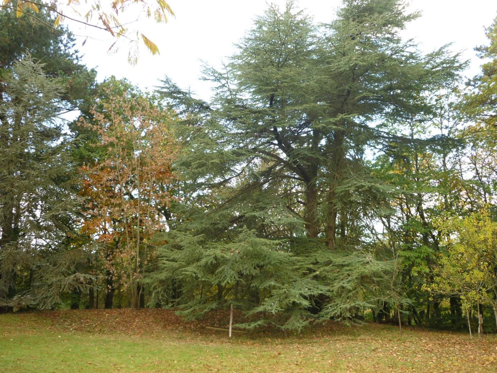 Stretcha, photo 14