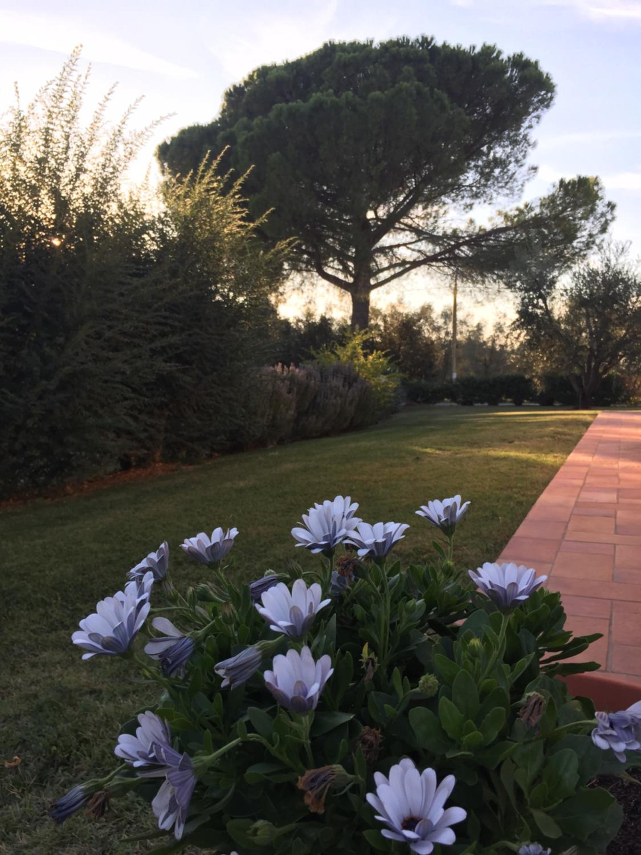 Agriturismo Il Puntoncino