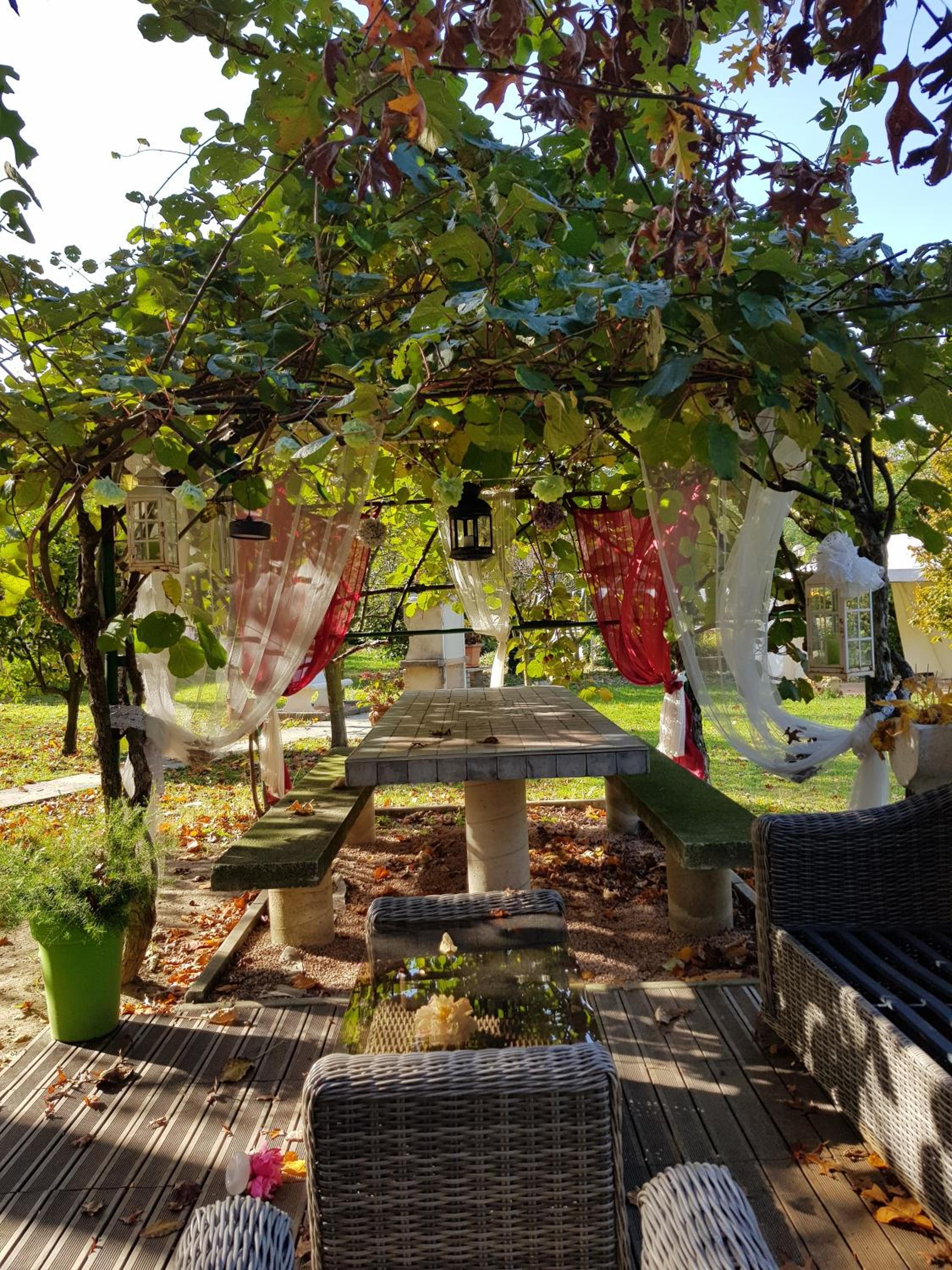 Photo 32