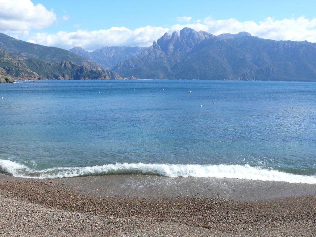 Photo 46