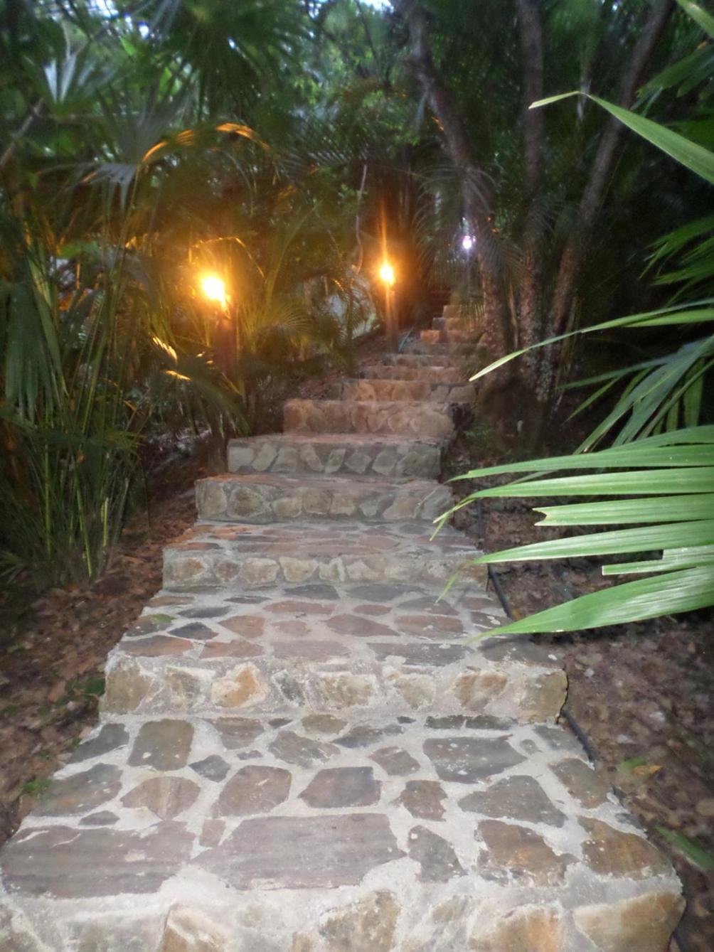 Photo 35