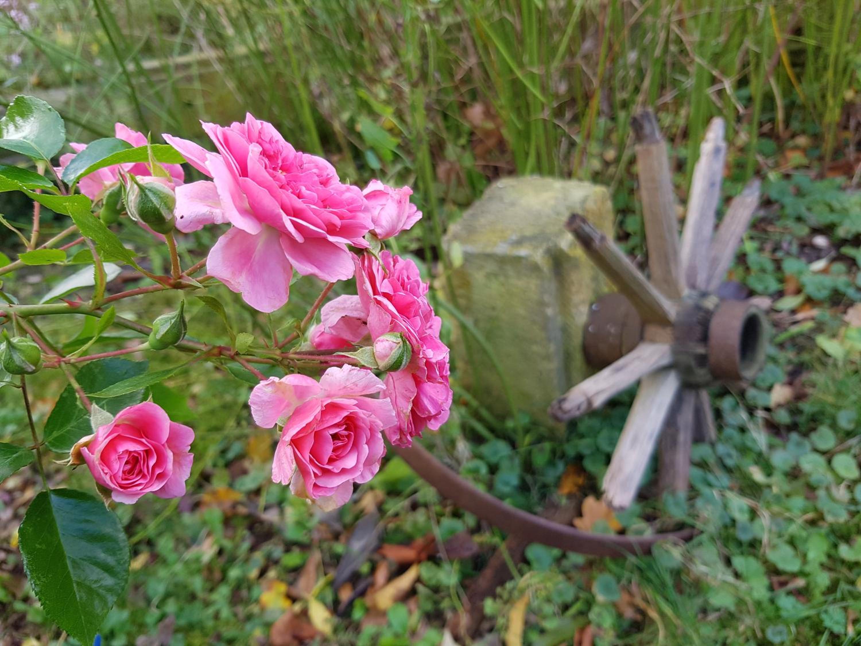 Pension Alte Schmiede view 3