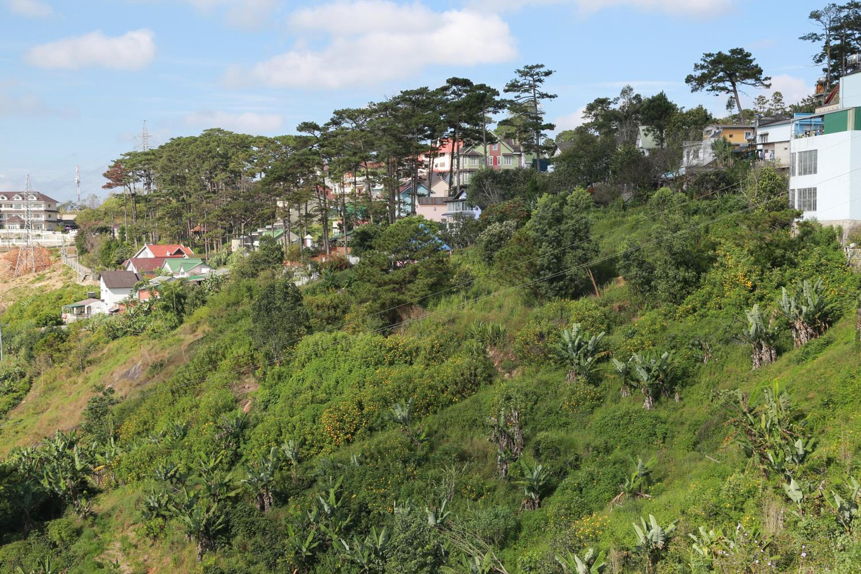 Antonico Villa Dalat