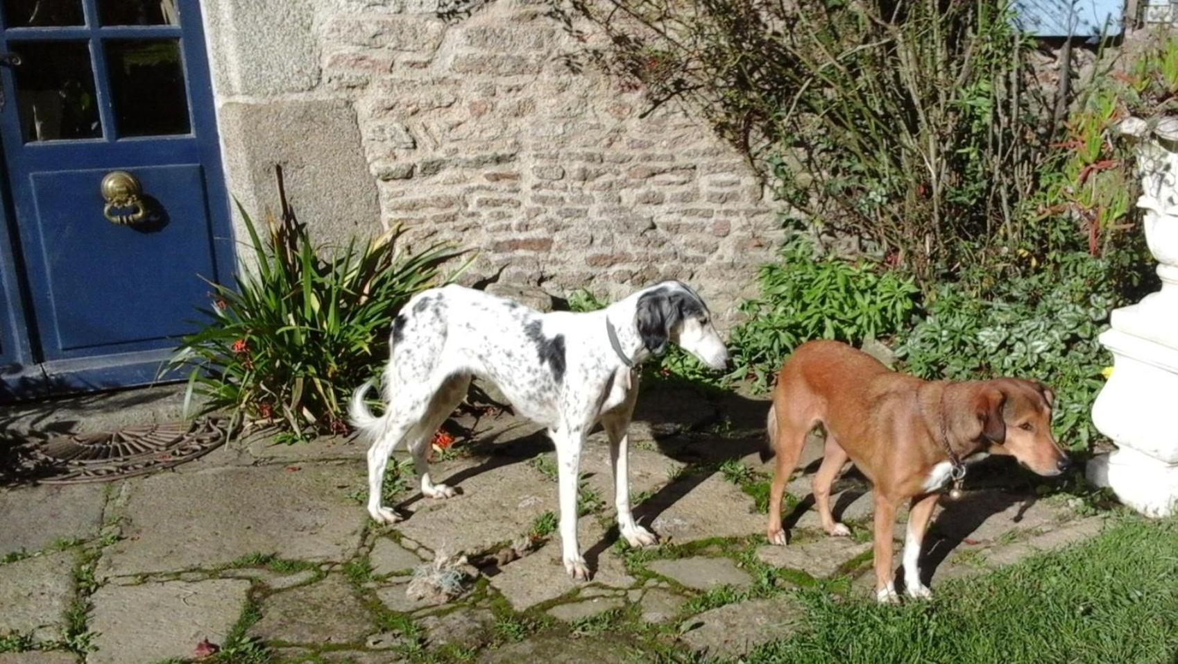 Photo 28