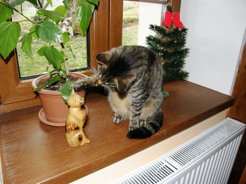 Photo 27