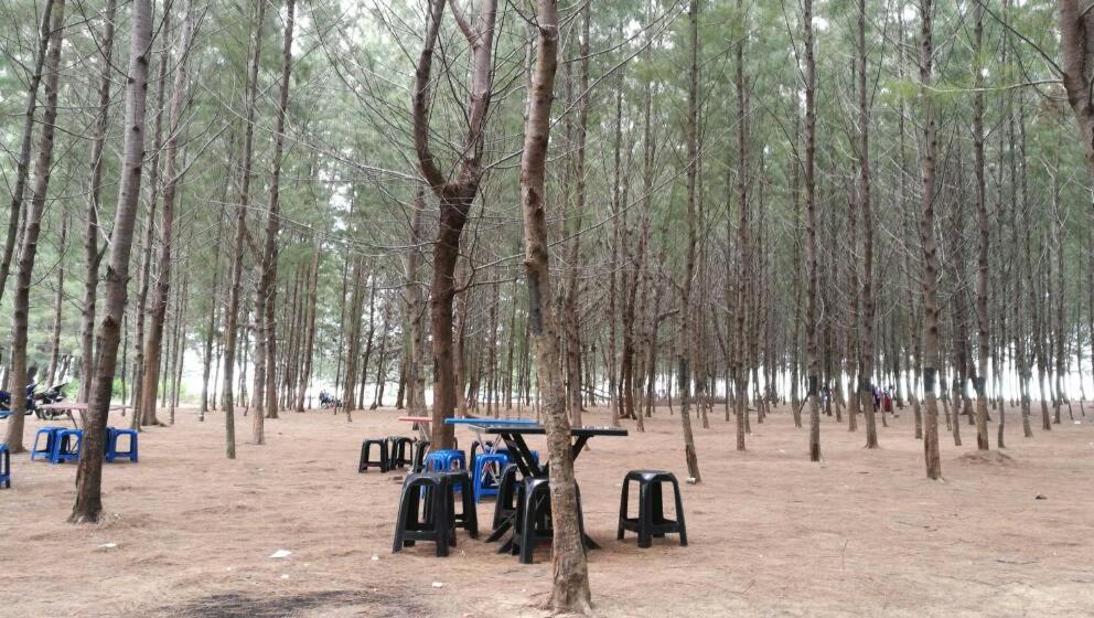 Relaxs Homestay