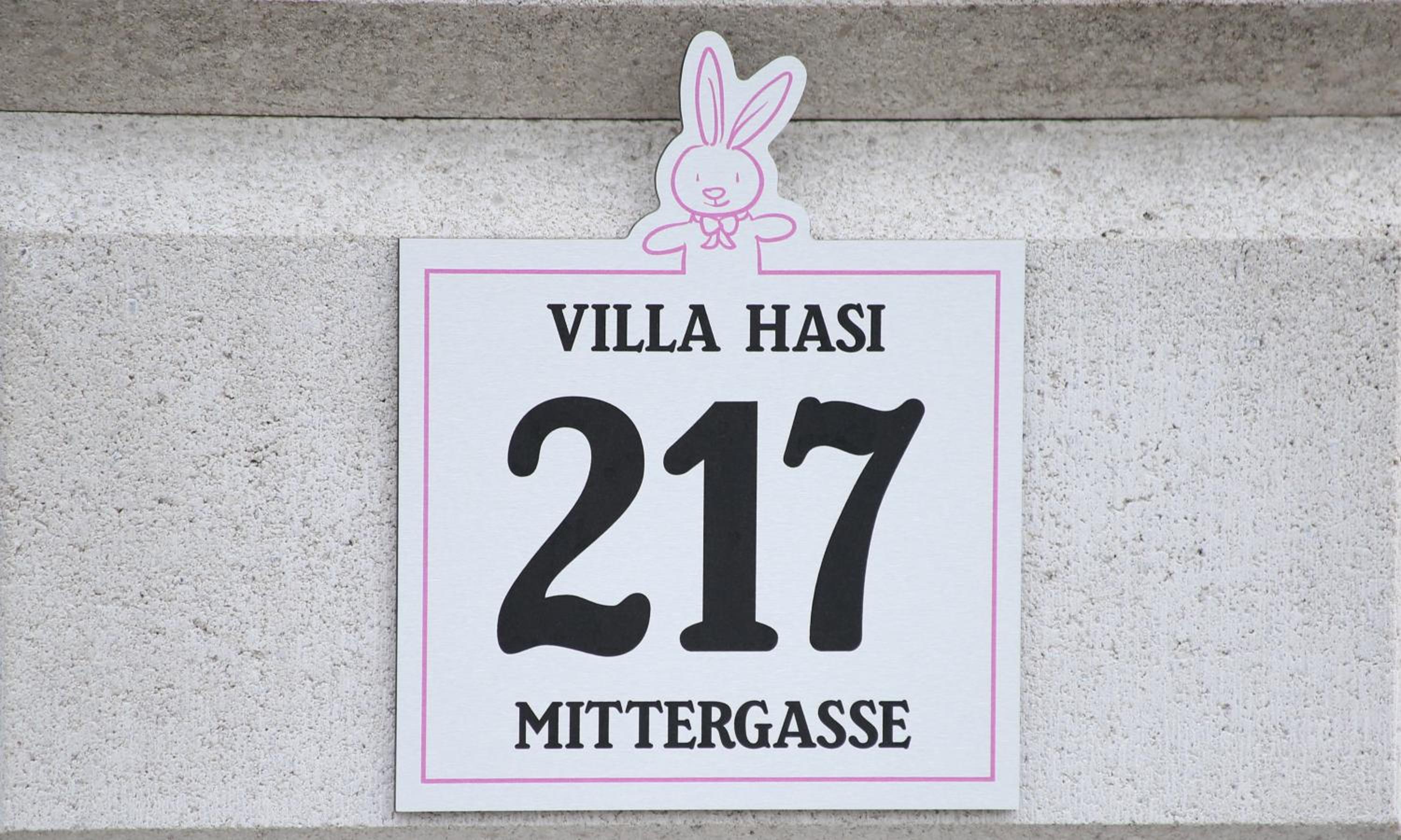 Villa Hasi