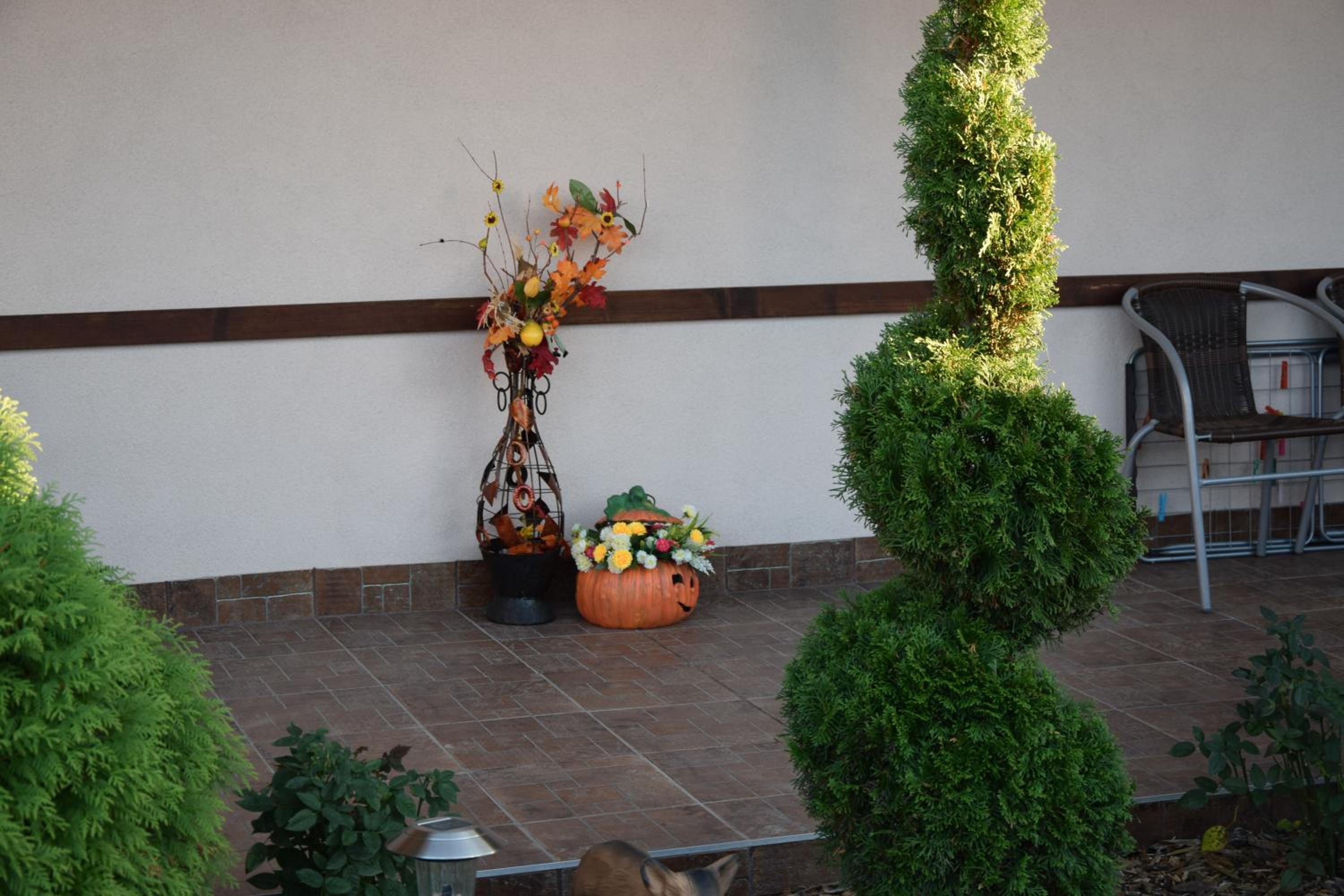 Photo 20