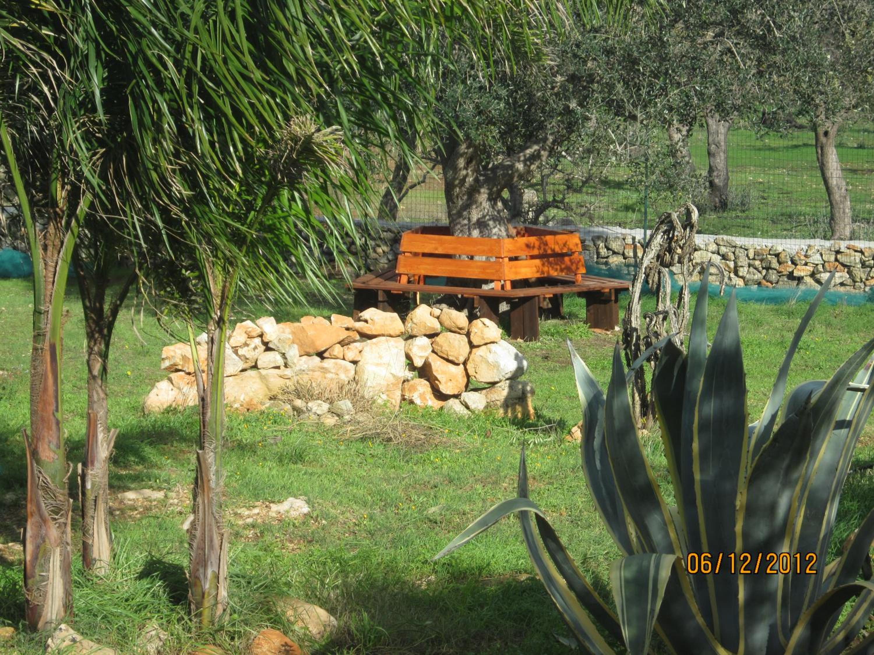 Photo 17