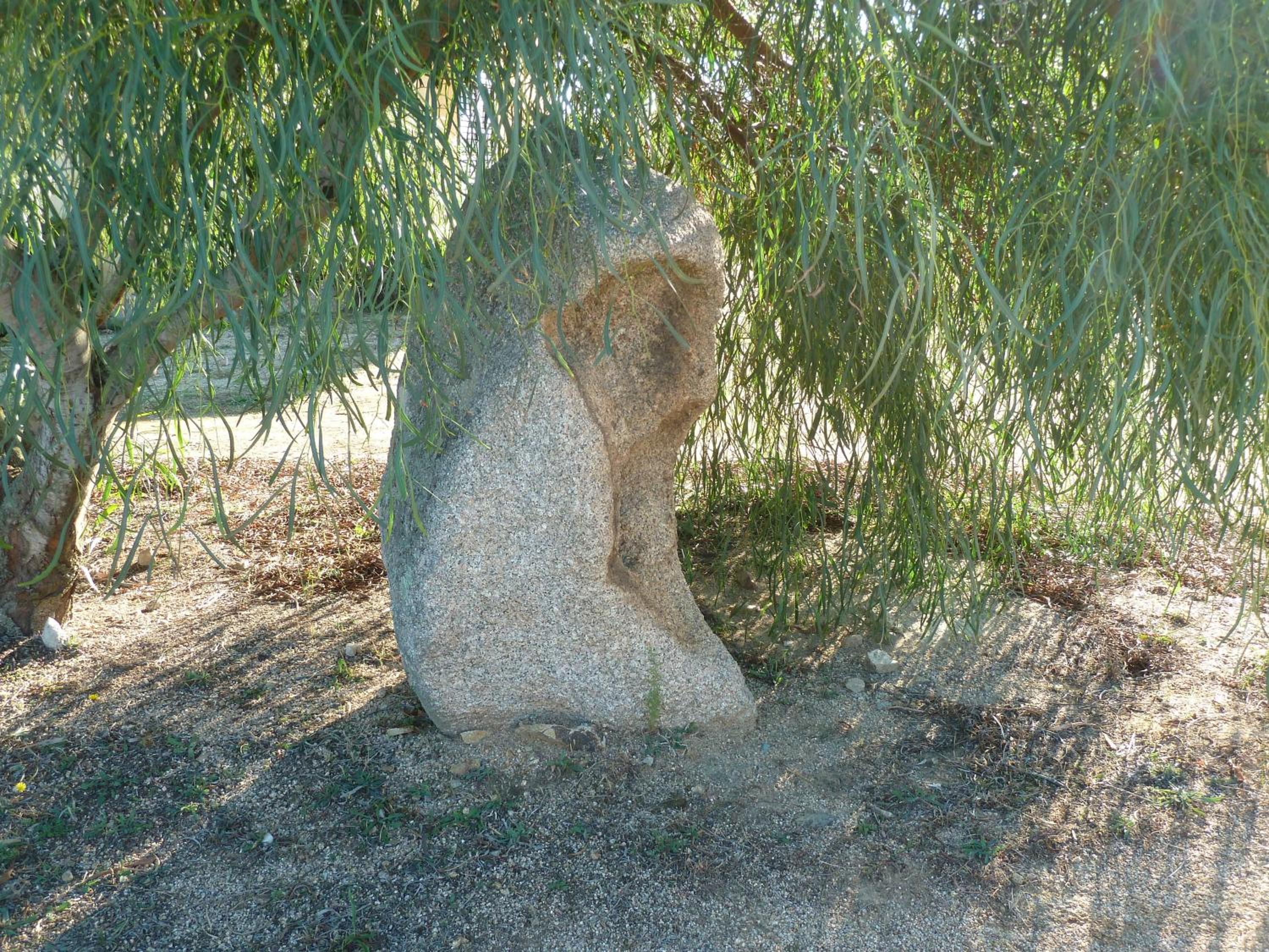 Photo 40