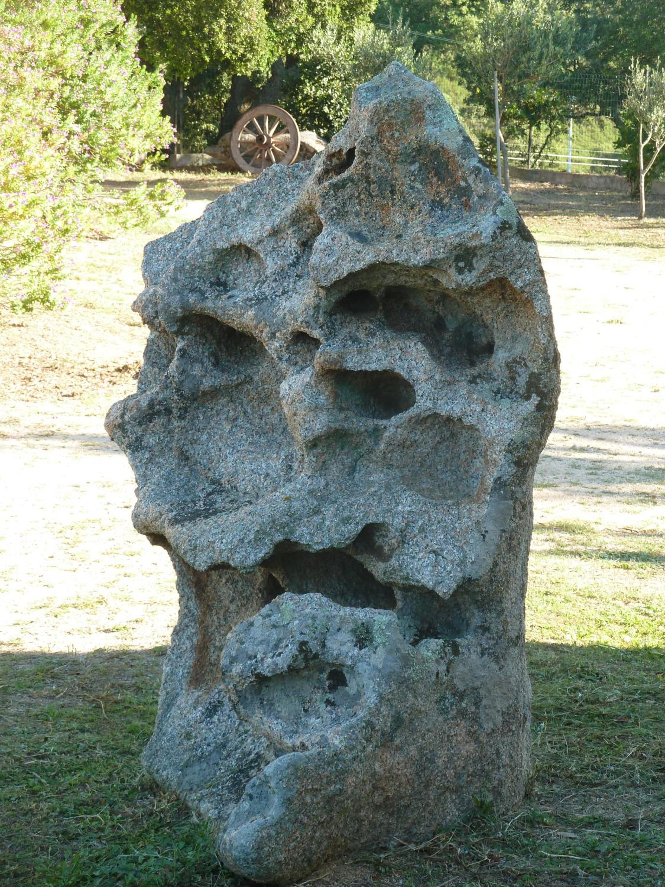 Photo 41