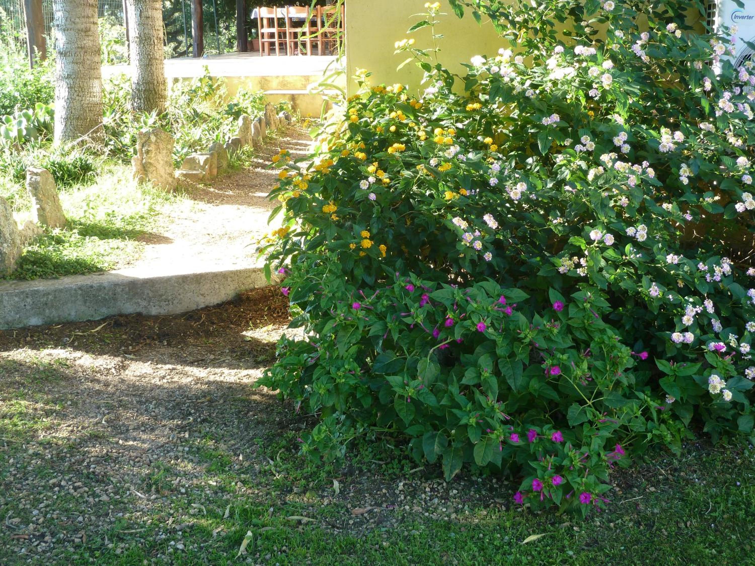 Photo 8