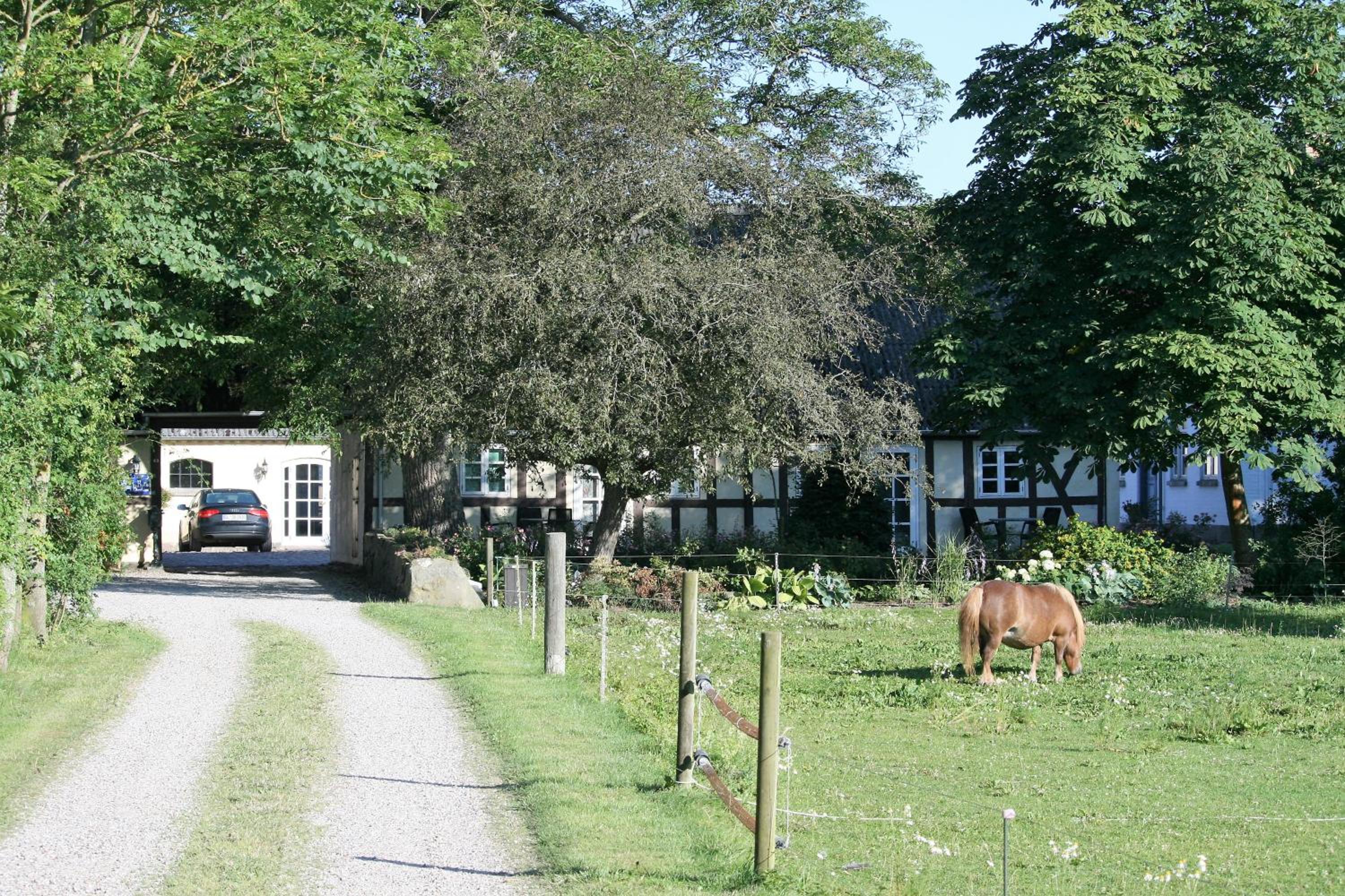 Rødkærgård Bed&Breakfast