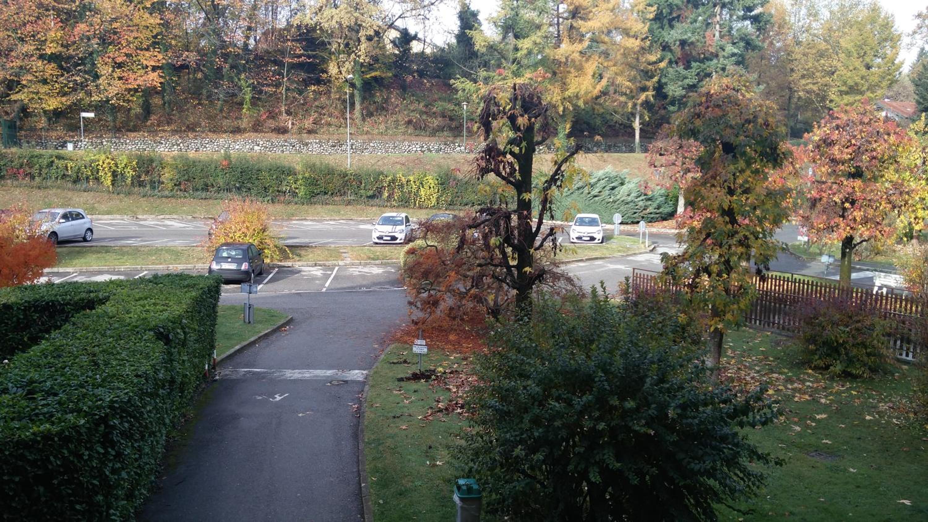 Photo 17