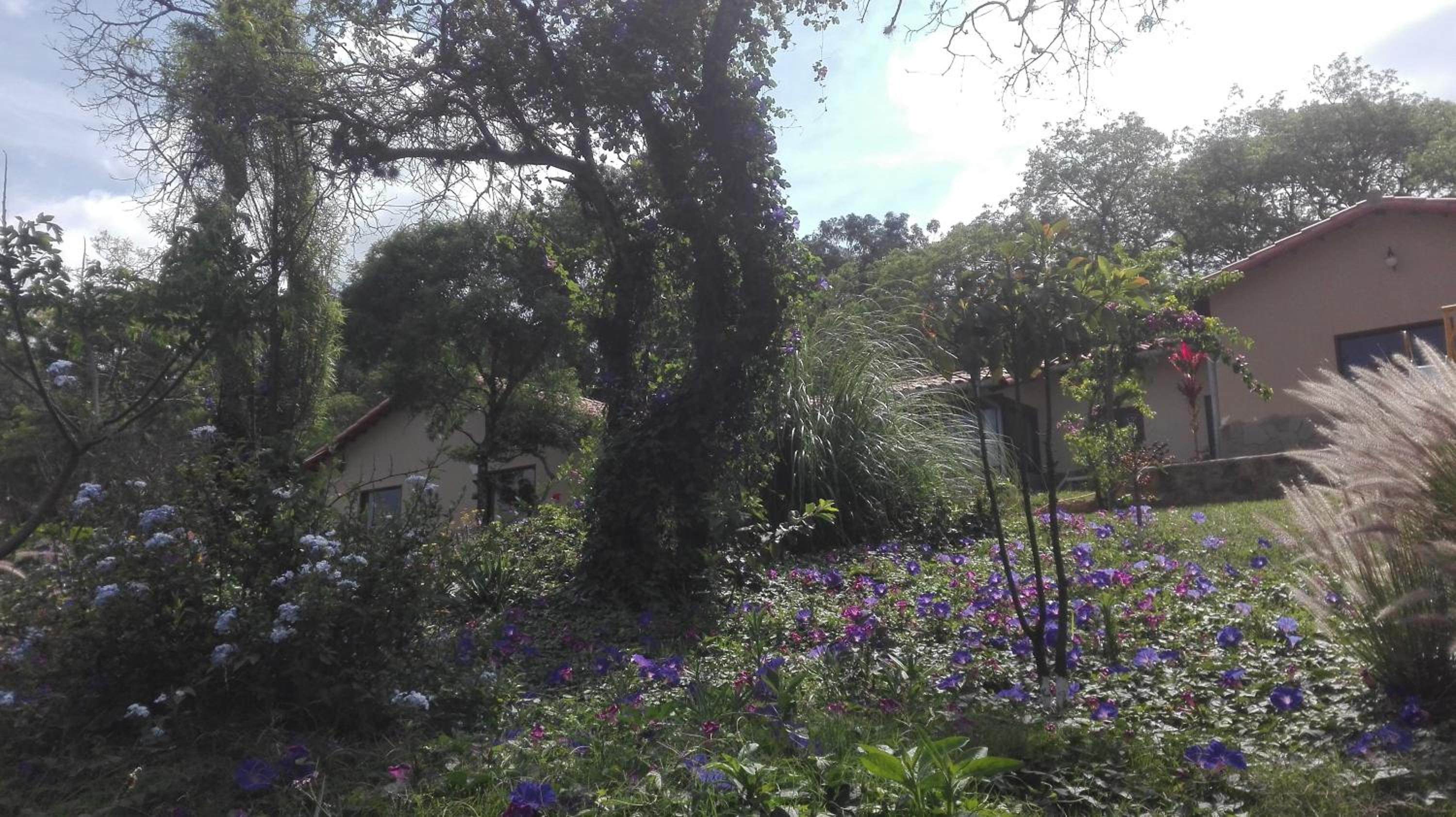Hostel Serena