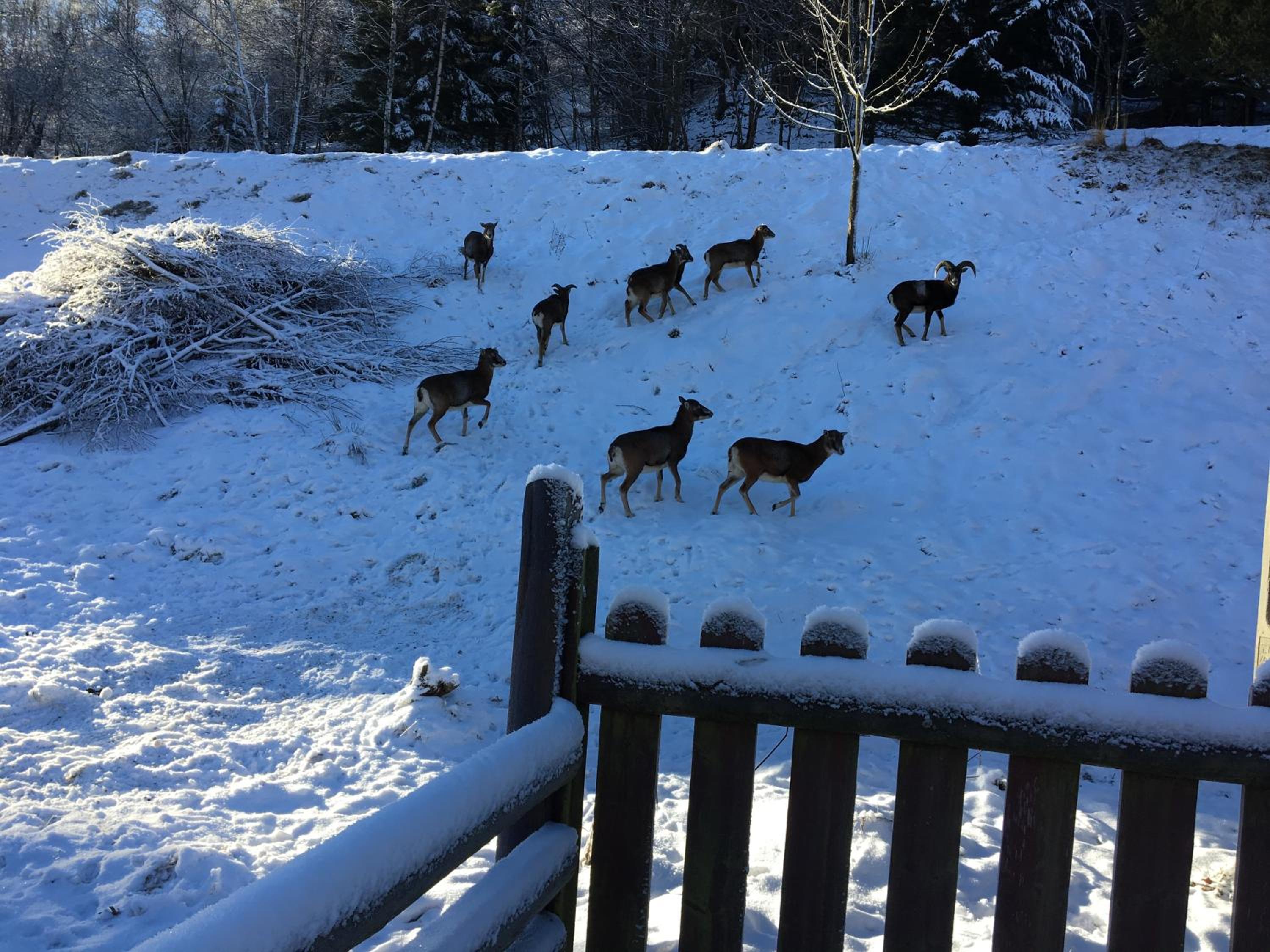 Photo 49