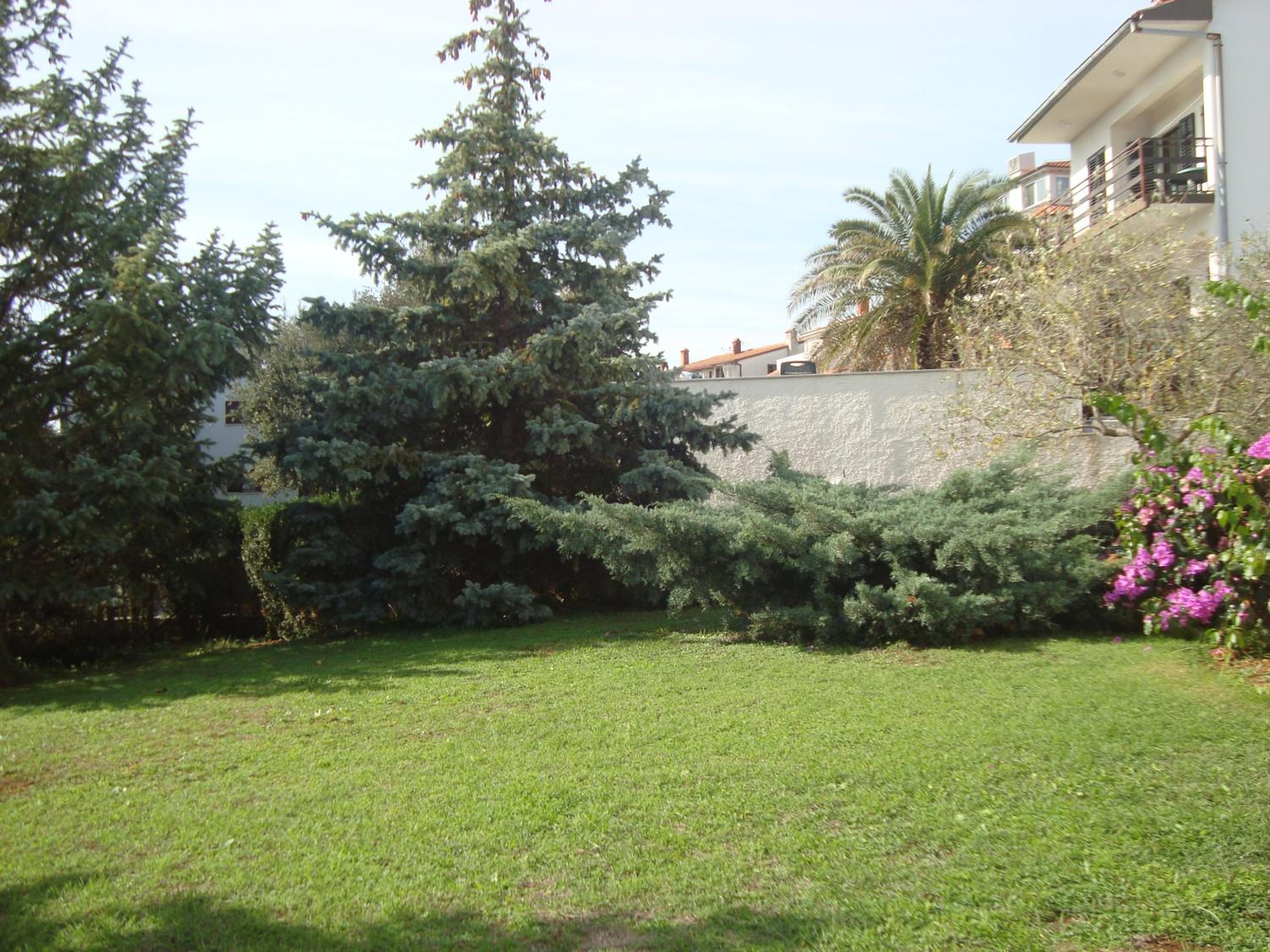 Photo 56
